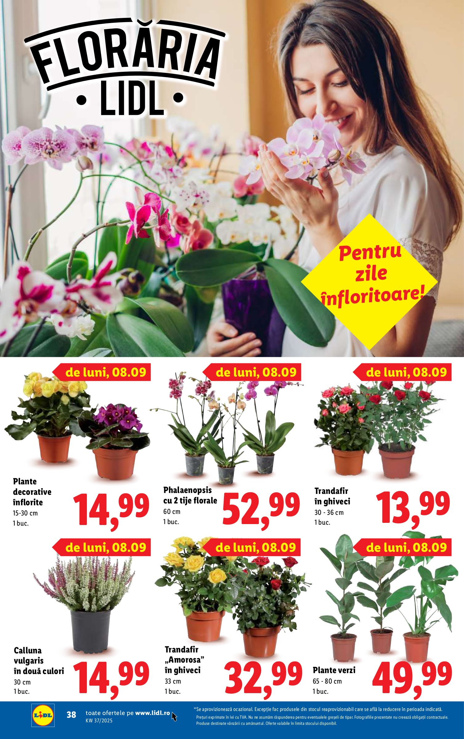 lidl - Catalog Lidl online – oferte valabile din 01.08. - page: 40