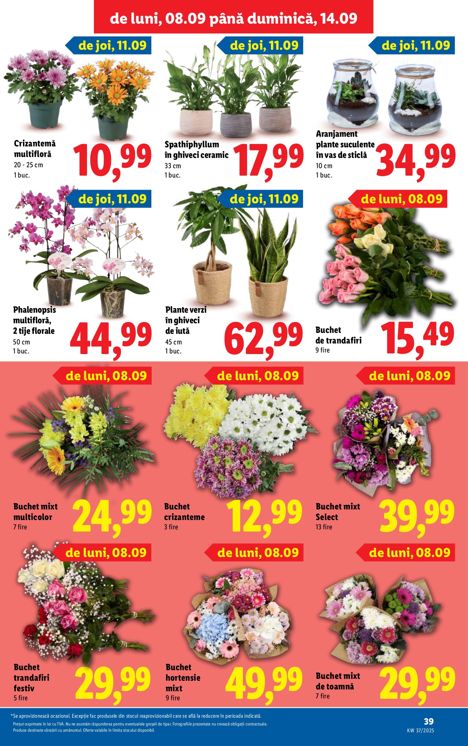 lidl - Catalog Lidl online – oferte valabile din 01.08. - page: 41