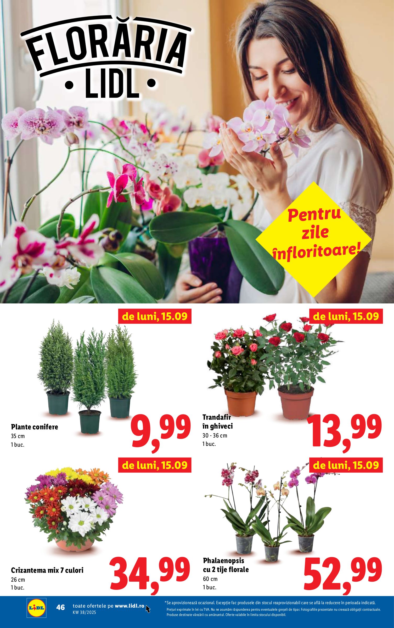 lidl - Catalog Lidl online – oferte valabile din 15.09. - page: 44 lidl - Catalog Lidl online – oferte valabile din 15.09. - page: 44