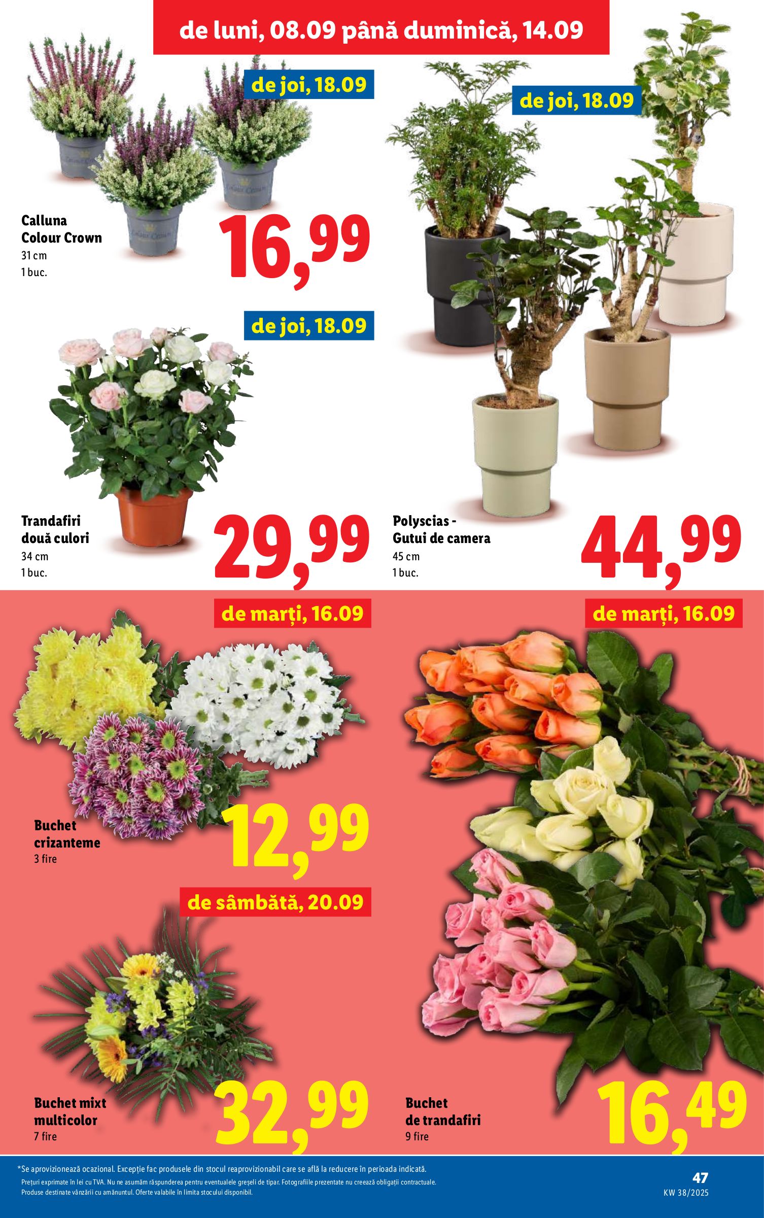 lidl - Catalog Lidl online – oferte valabile din 15.09. - page: 45 lidl - Catalog Lidl online – oferte valabile din 15.09. - page: 45