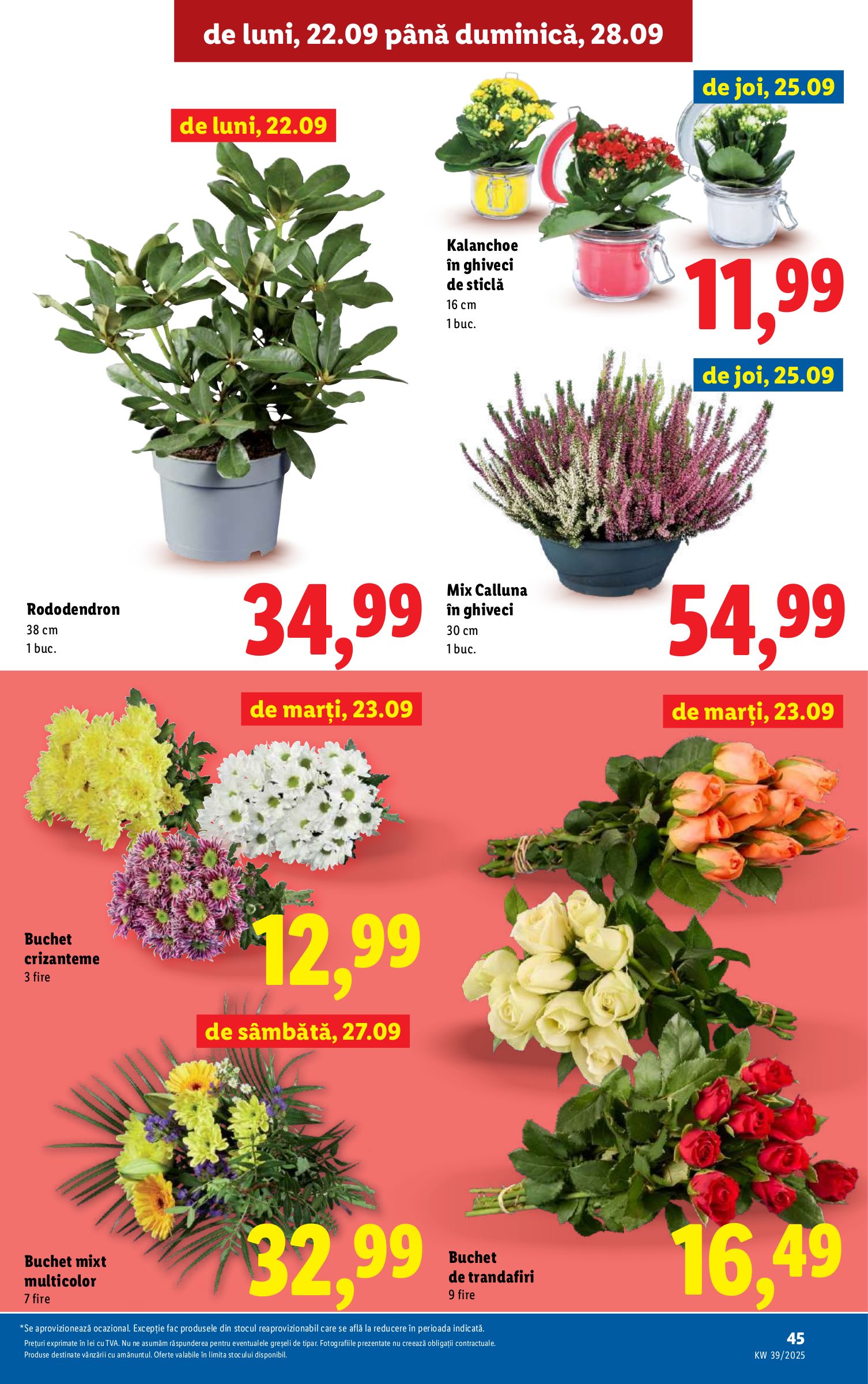 lidl - Catalog Lidl online – oferte valabile din 22.09. - page: 41