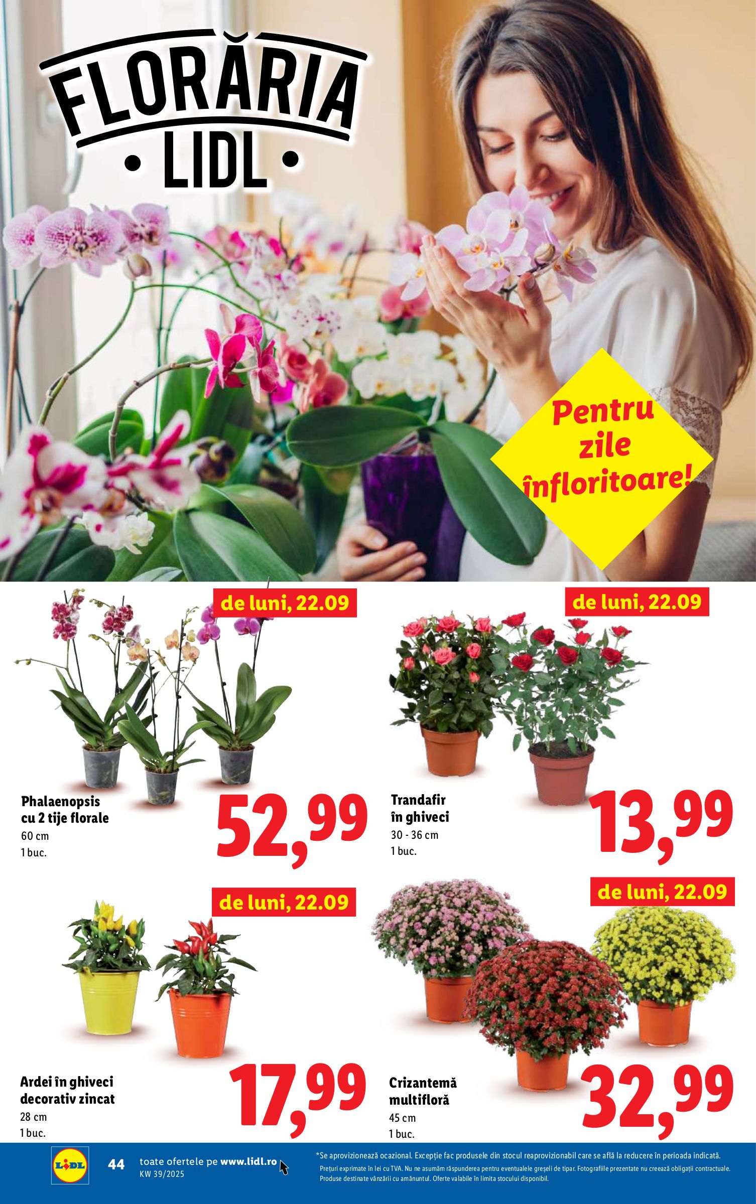 lidl - Catalog Lidl online – oferte valabile din 22.09. - page: 40