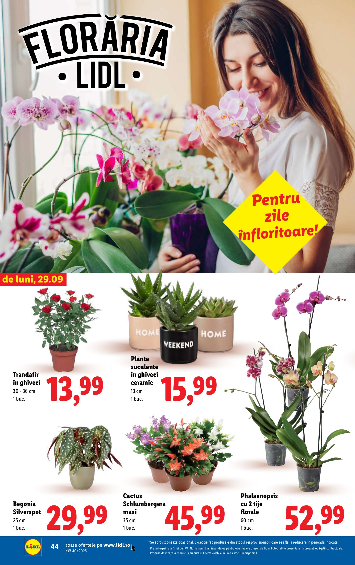 lidl - Catalog Lidl online – oferte valabile din 29.09. - page: 44 lidl - Catalog Lidl online – oferte valabile din 29.09. - page: 44