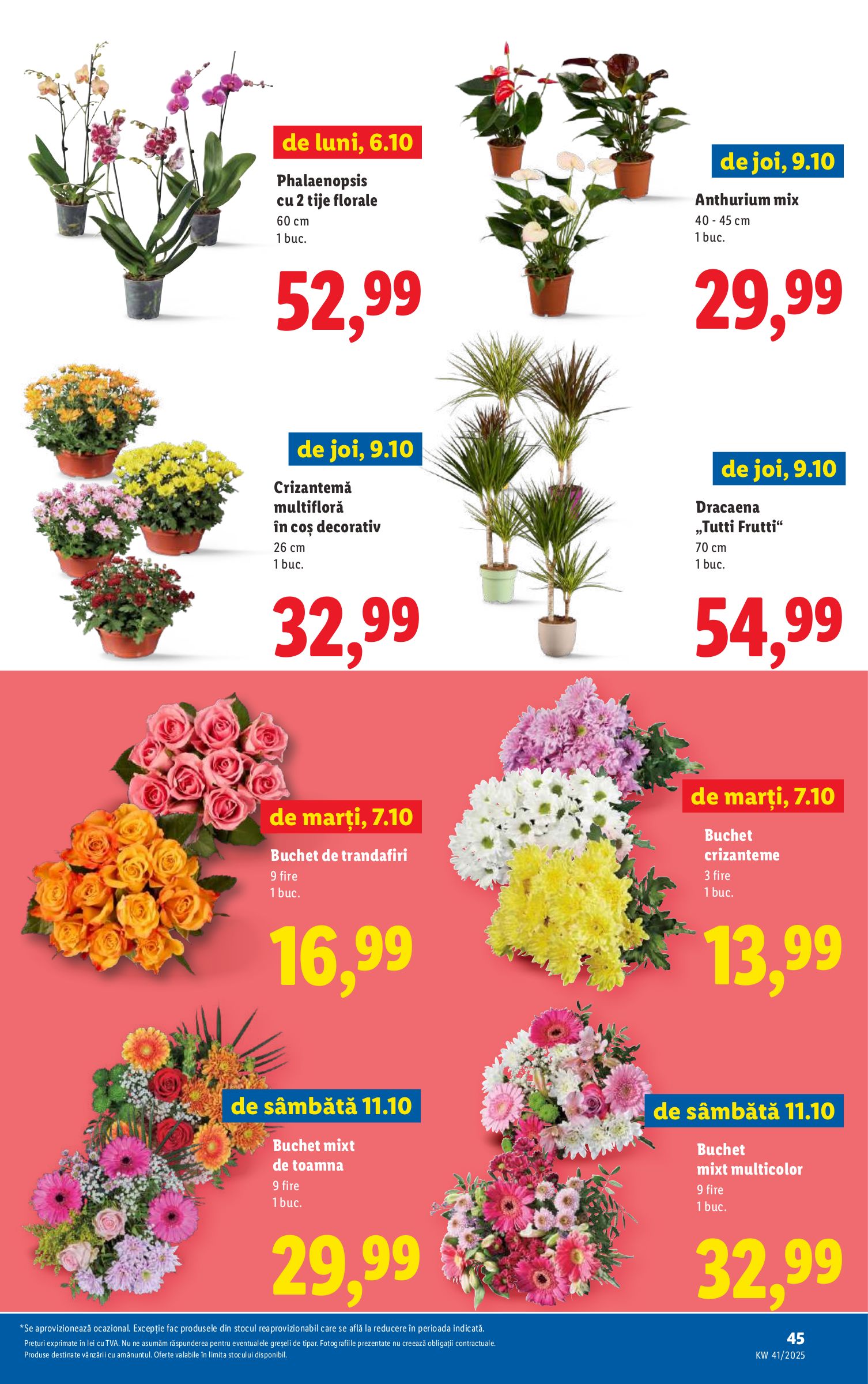 lidl - Catalog Lidl online – oferte valabile din 06.10. - page: 45 lidl - Catalog Lidl online – oferte valabile din 06.10. - page: 45
