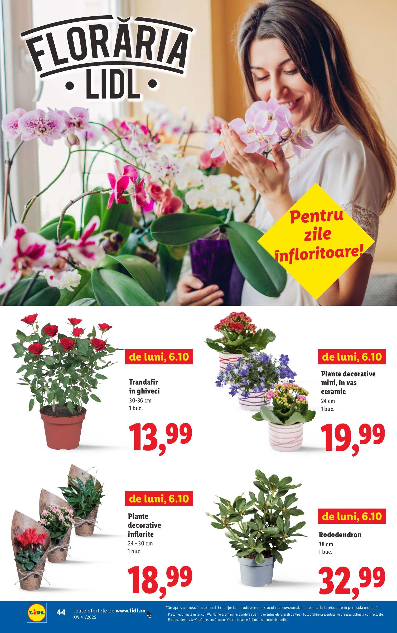 lidl - Catalog Lidl online – oferte valabile din 06.10. - page: 44 lidl - Catalog Lidl online – oferte valabile din 06.10. - page: 44