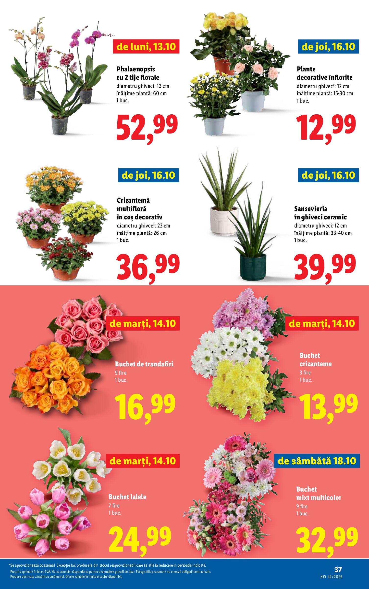 lidl - Catalog Lidl online – oferte valabile din 13.10. - page: 37