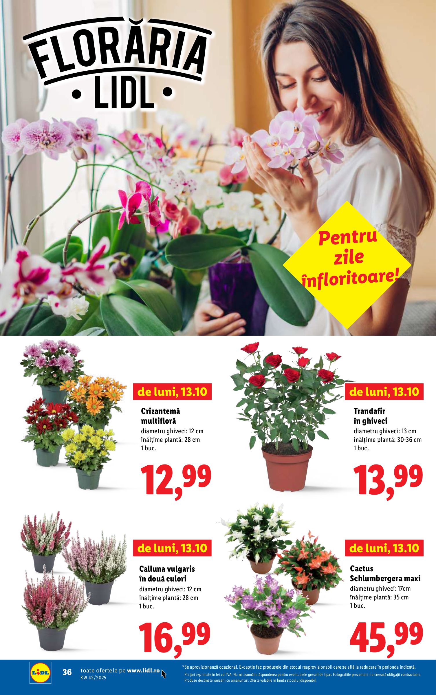 lidl - Catalog Lidl online – oferte valabile din 13.10. - page: 36