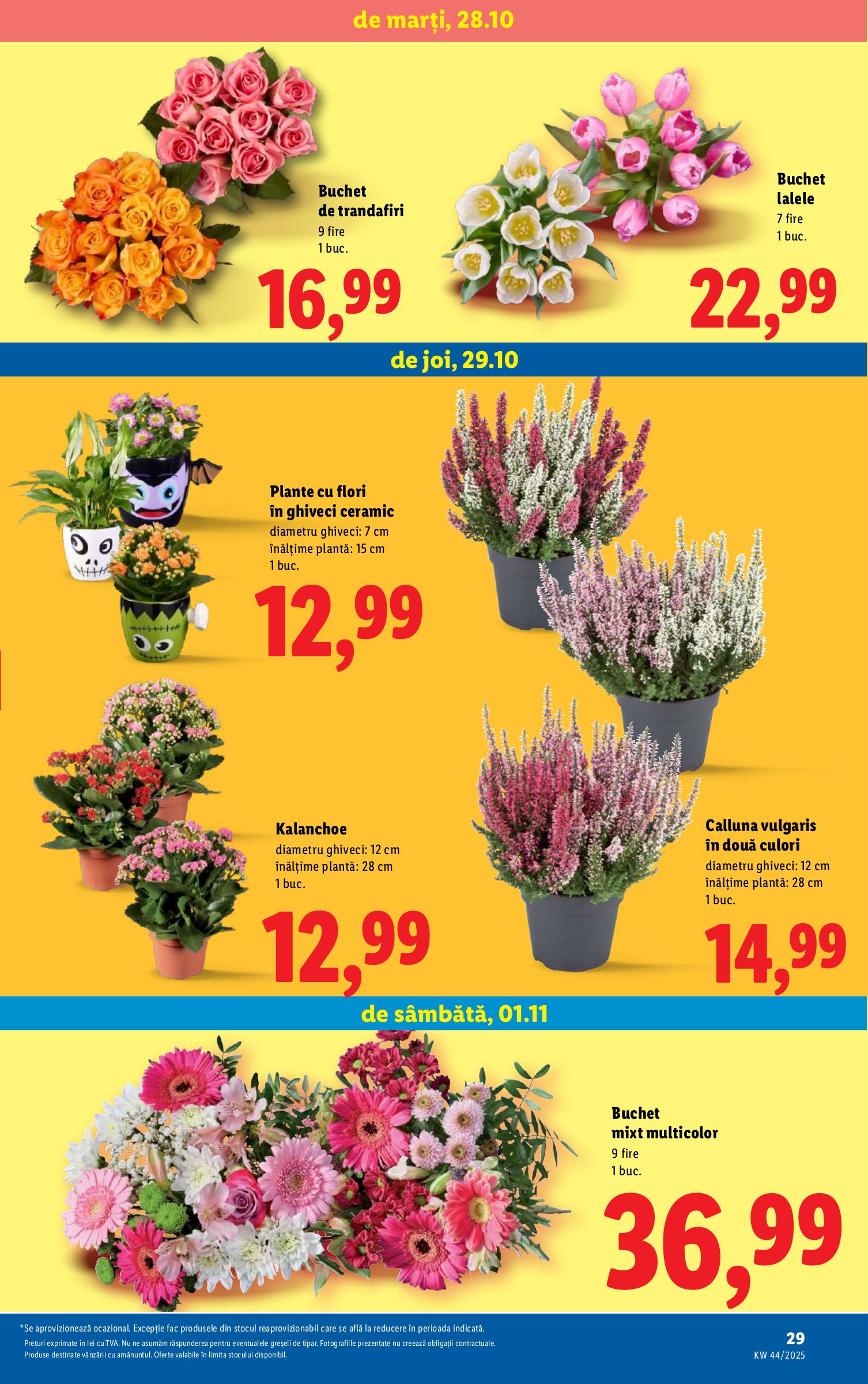 lidl - Catalog Lidl online – oferte valabile din 27.10. - page: 29 lidl - Catalog Lidl online – oferte valabile din 27.10. - page: 29