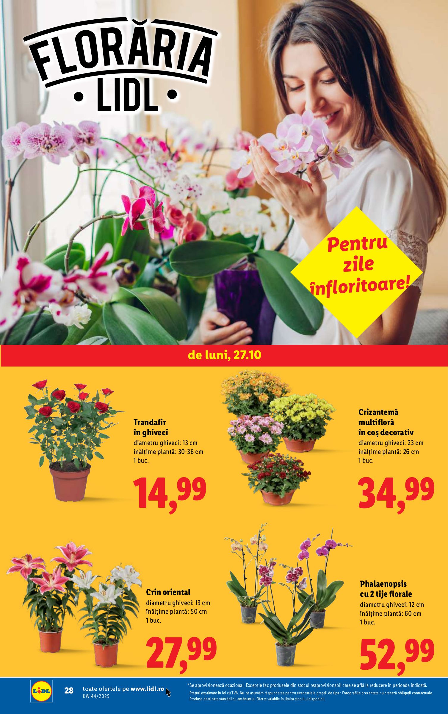 lidl - Catalog Lidl online – oferte valabile din 27.10. - page: 28 lidl - Catalog Lidl online – oferte valabile din 27.10. - page: 28