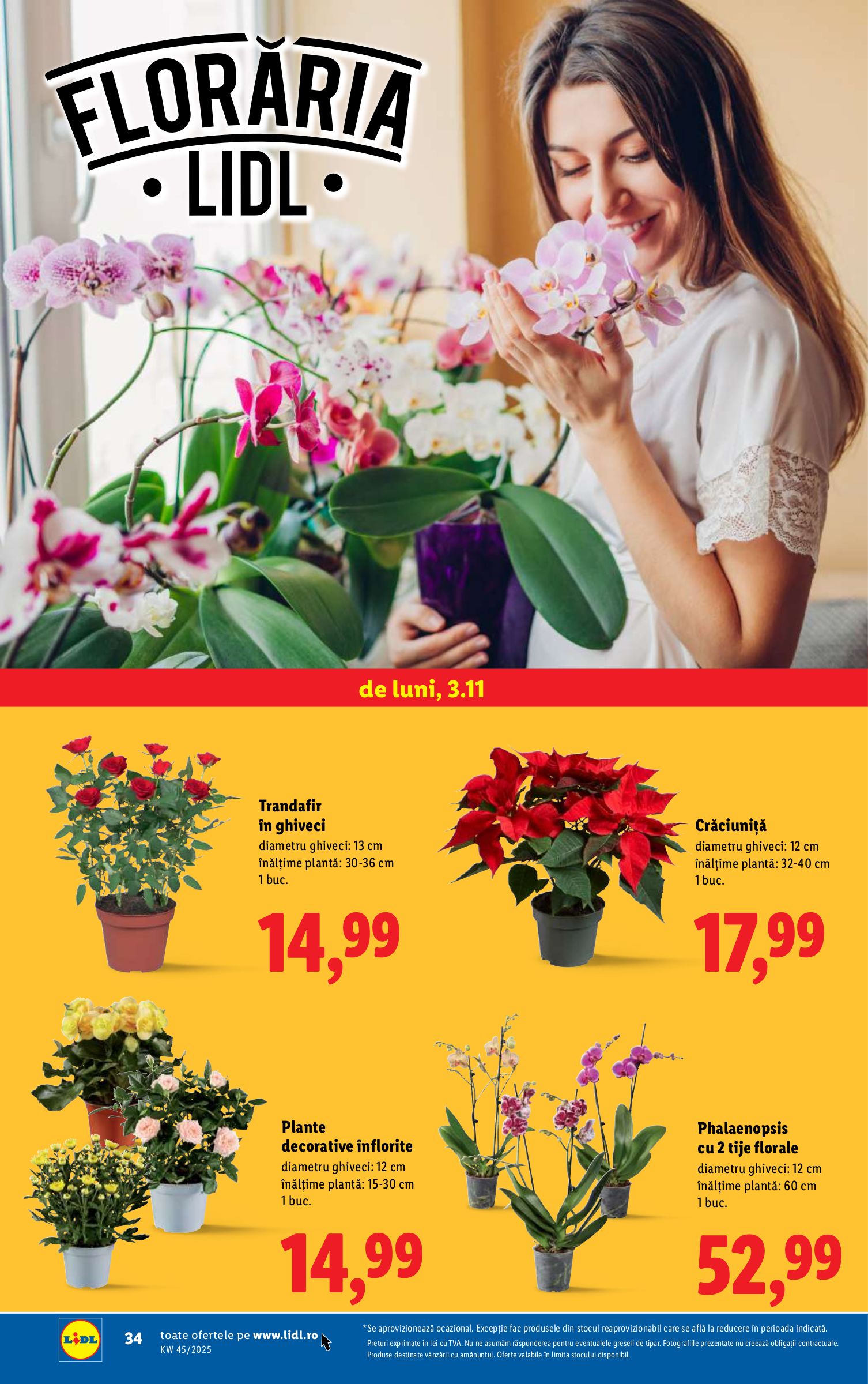 lidl - Catalog Lidl online – oferte valabile din 03.11. - page: 34 lidl - Catalog Lidl online – oferte valabile din 03.11. - page: 34