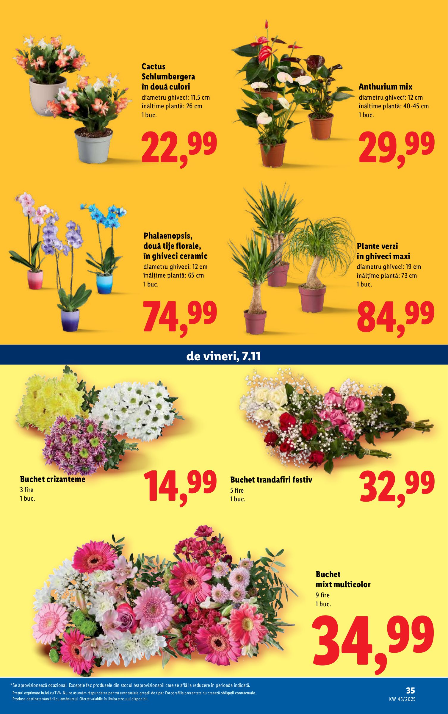 lidl - Catalog Lidl online – oferte valabile din 03.11. - page: 35 lidl - Catalog Lidl online – oferte valabile din 03.11. - page: 35