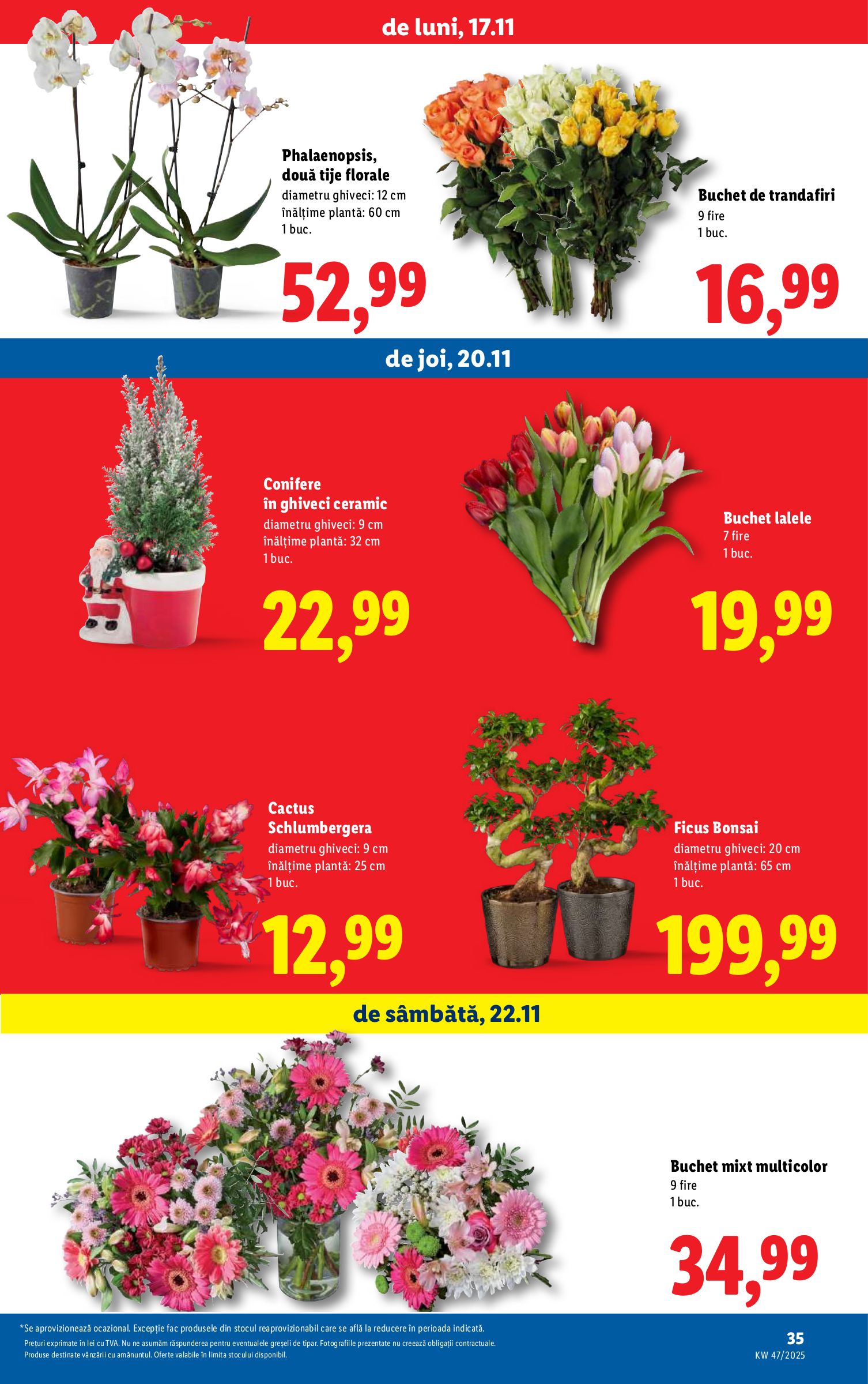lidl - Catalog Lidl online – oferte valabile din 17.11. - page: 35