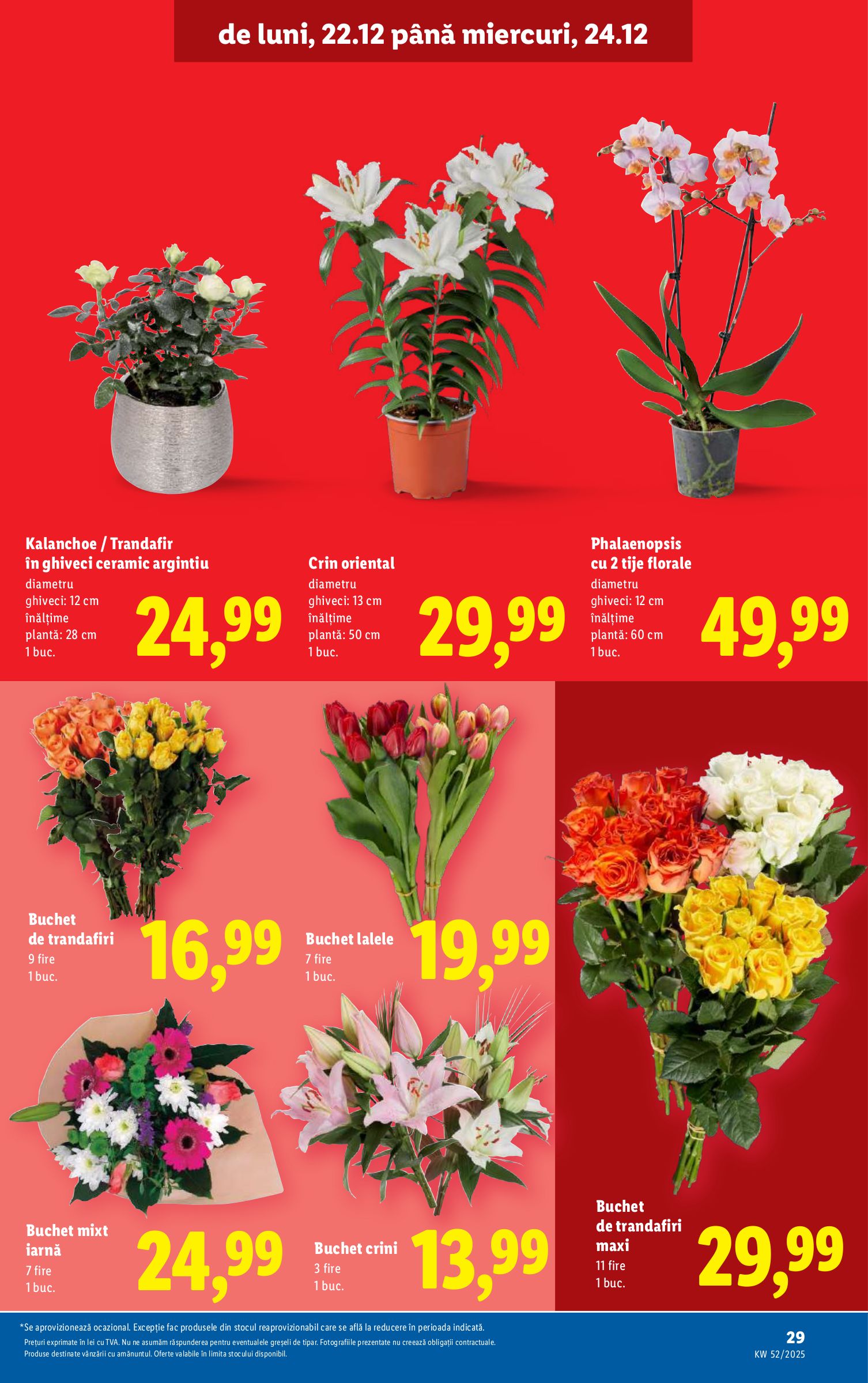 lidl - Catalog Lidl online – oferte valabile din 22.12. - page: 29