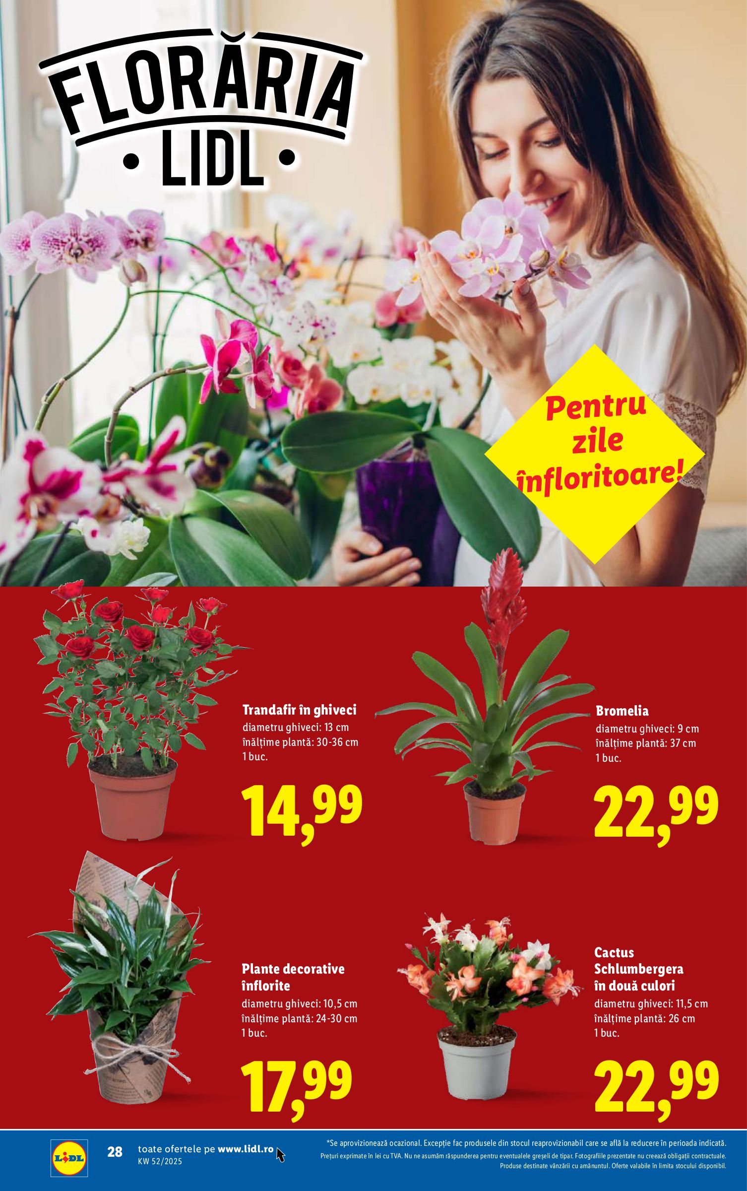 lidl - Catalog Lidl online – oferte valabile din 22.12. - page: 28