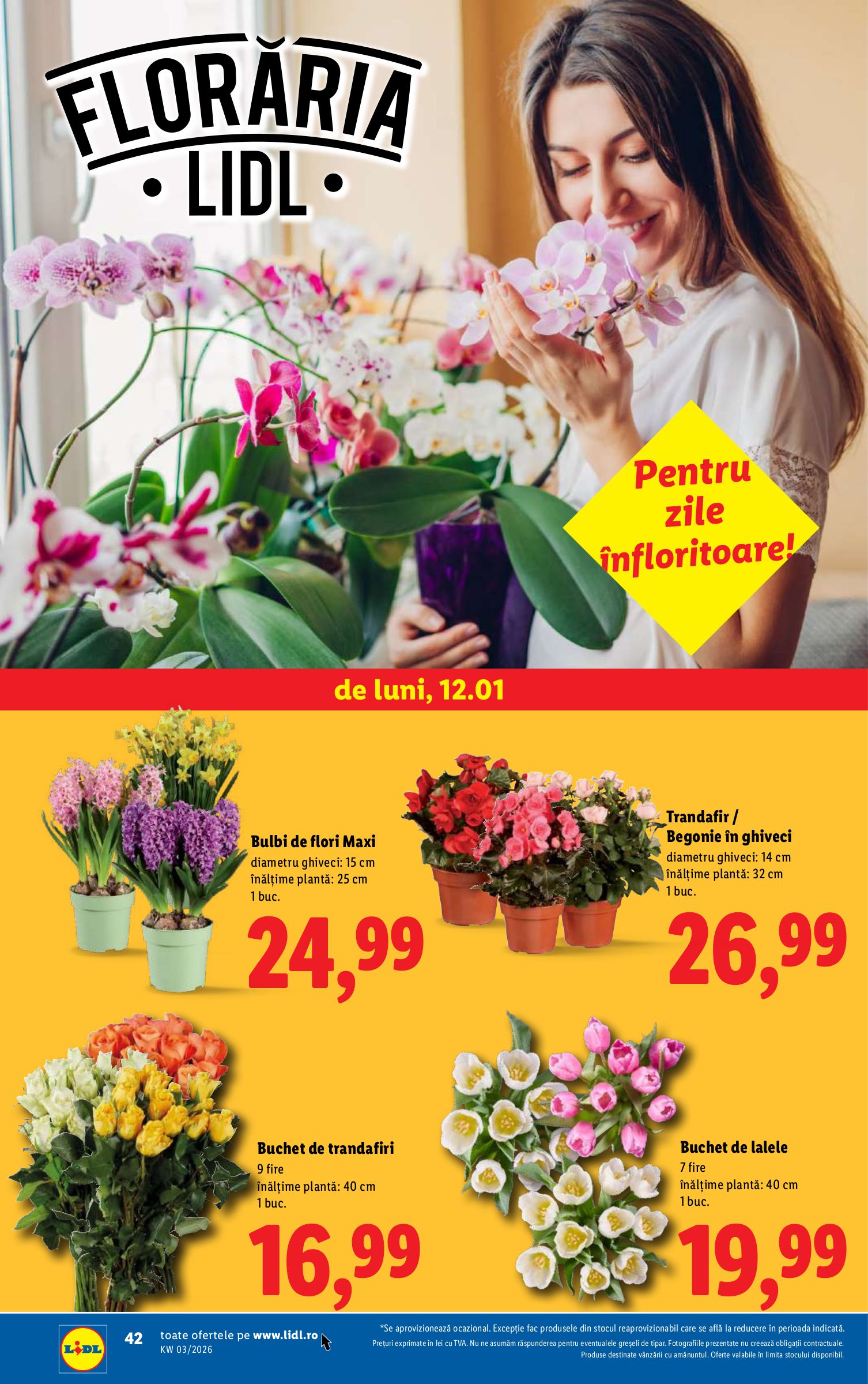 lidl - Catalog Lidl online – oferte valabile din 12.01. - page: 42