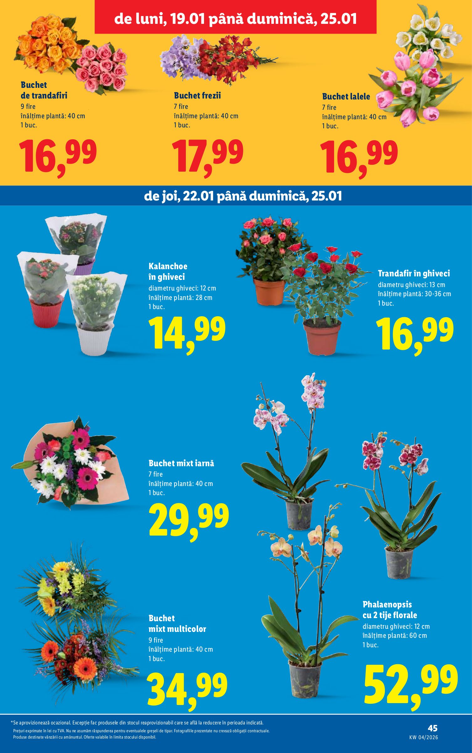 lidl - Catalog Lidl online – oferte valabile din 19.01. - page: 45