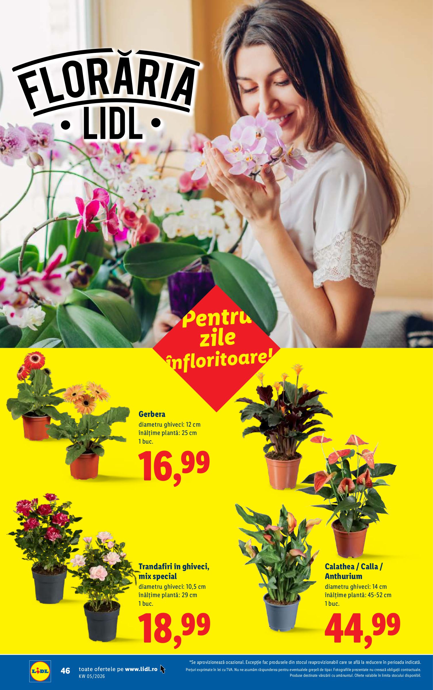 lidl - Catalog Lidl online – oferte valabile din 26.01. - page: 46