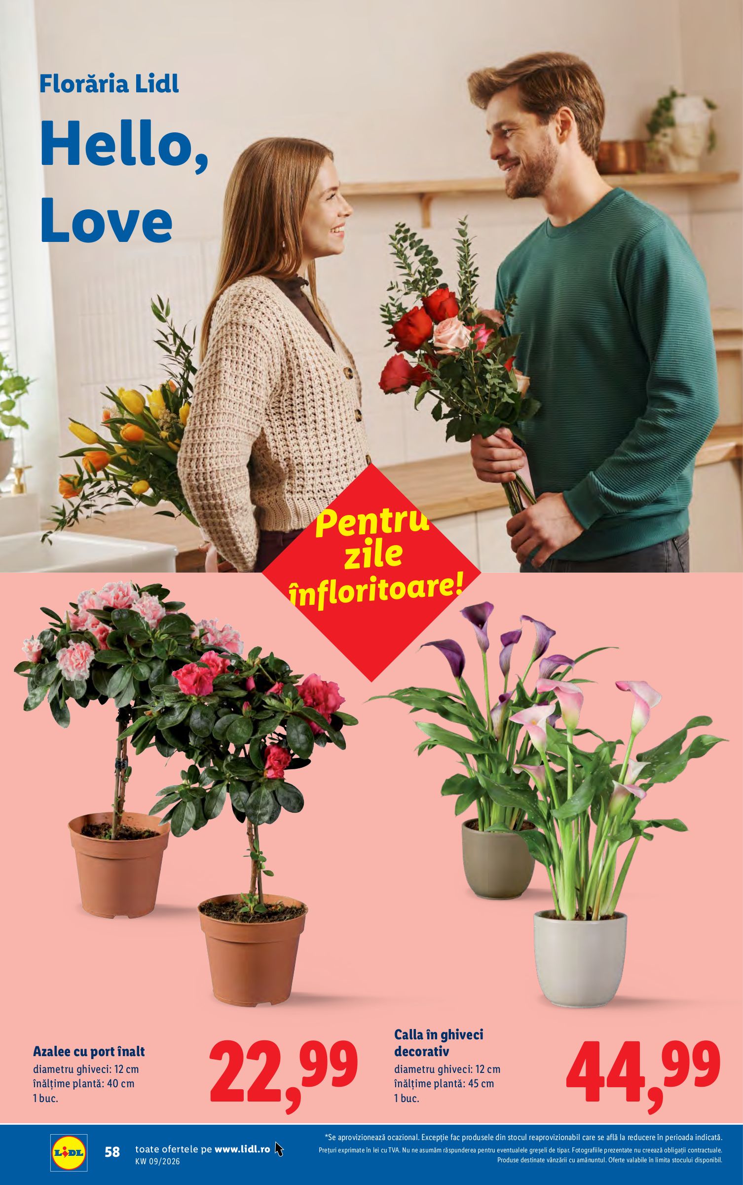 lidl - Catalog Lidl online – oferte valabile din 23.02.2026 - page: 58