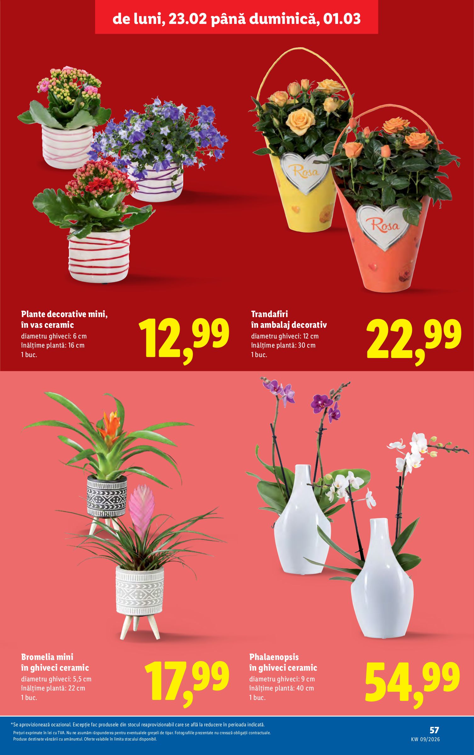 lidl - Catalog Lidl online – oferte valabile din 23.02.2026 - page: 57
