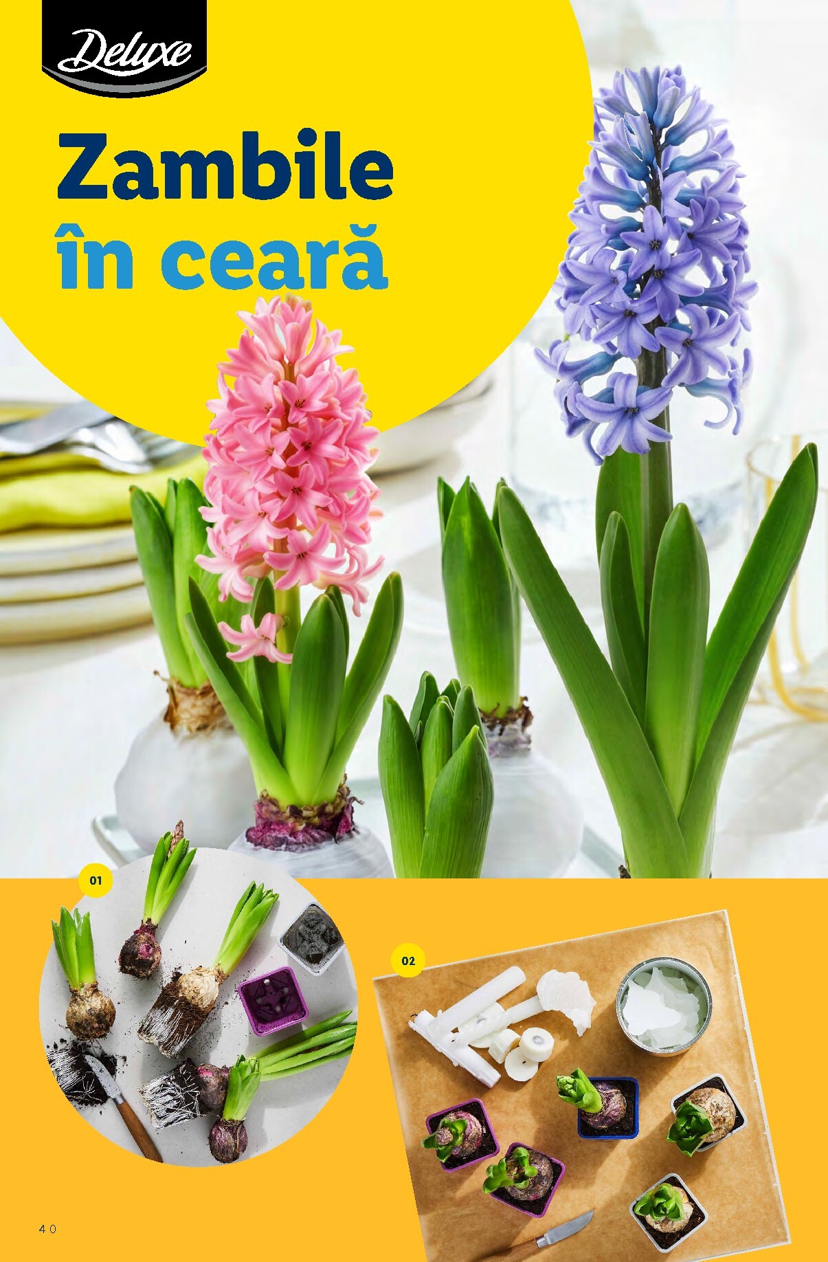 lidl - Catalog Lidl - Un Paste fantastic online – oferte valabile din 26.02.2026 - page: 40