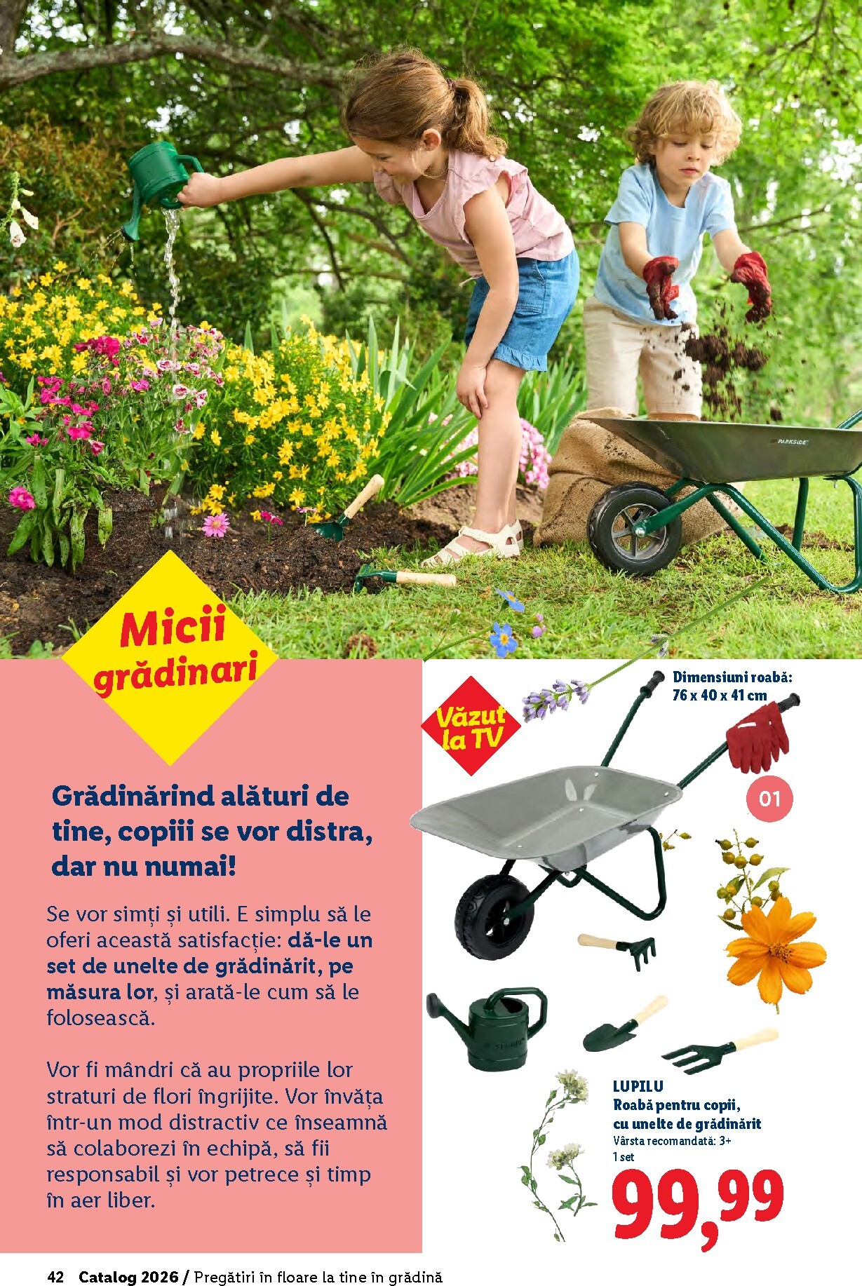lidl - Catalog Lidl - Grădină online – oferte valabile din 26.02.2026 - page: 42