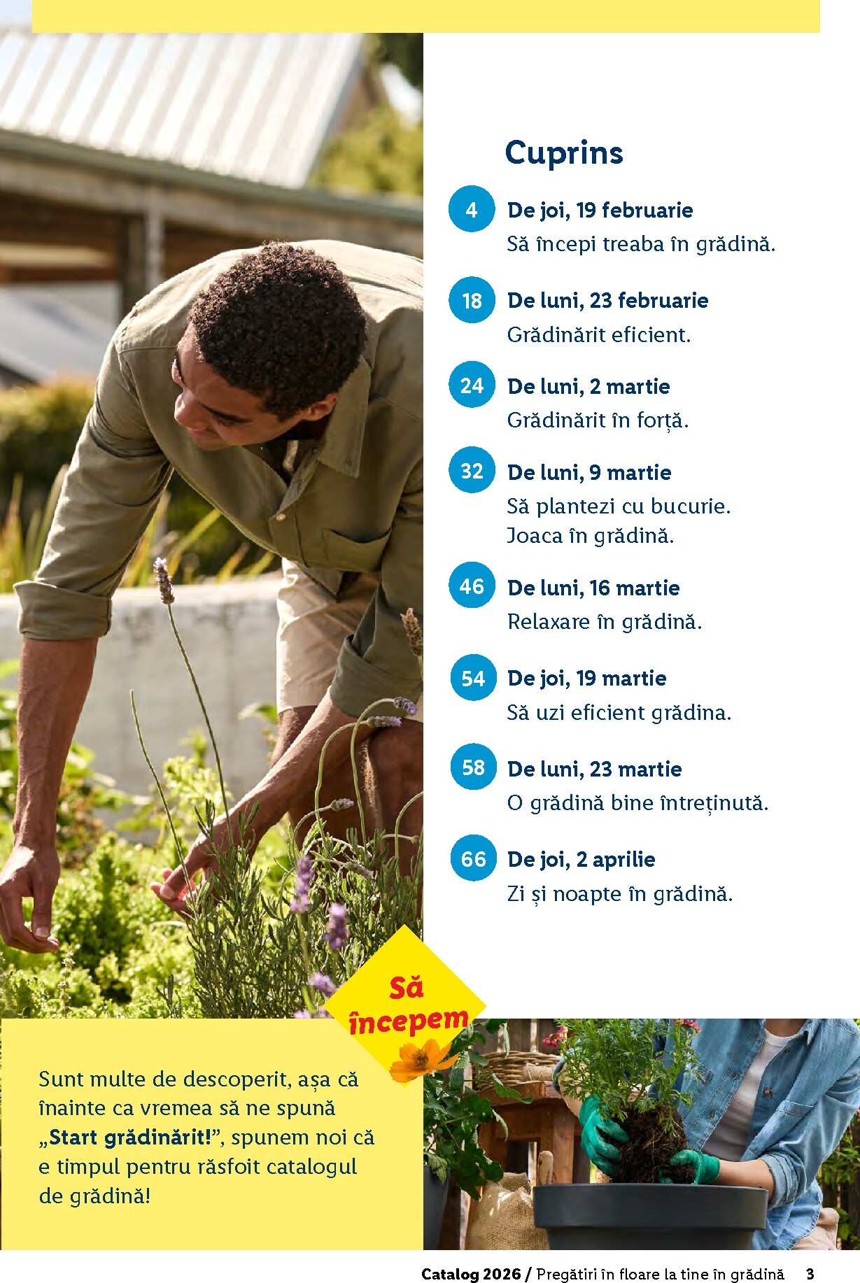 lidl - Catalog Lidl - Grădină online – oferte valabile din 26.02.2026 - page: 3
