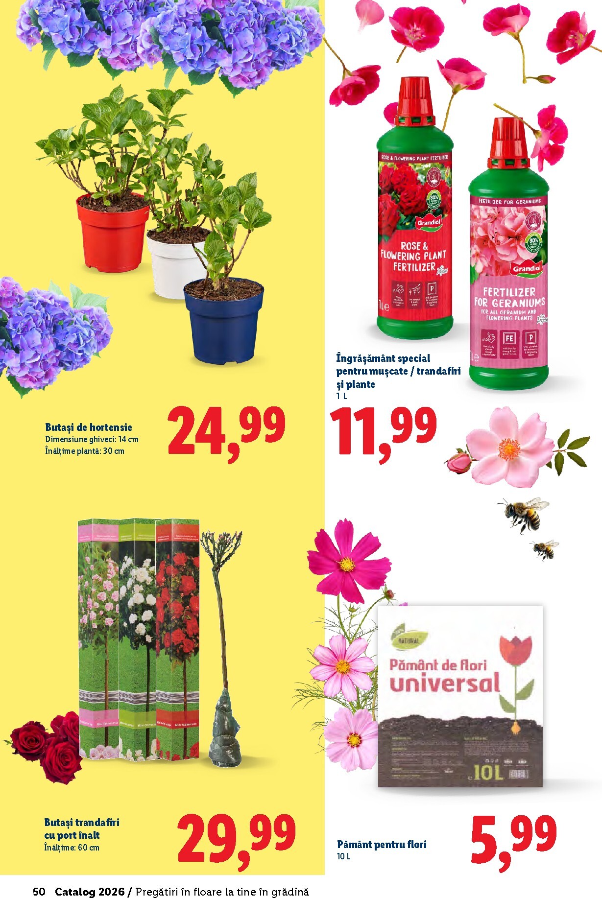 lidl - Catalog Lidl - Grădină online – oferte valabile din 26.02.2026 - page: 50