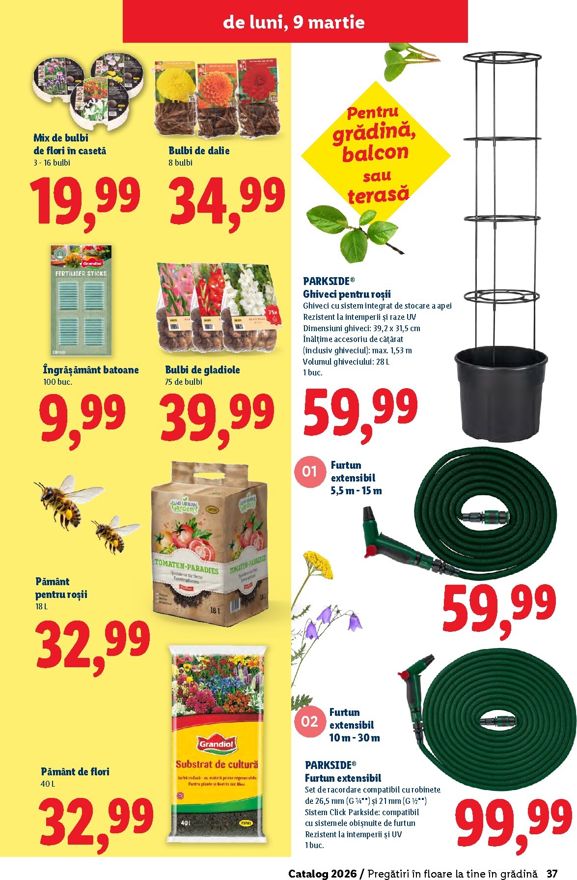 lidl - Catalog Lidl - Grădină online – oferte valabile din 26.02.2026 - page: 37