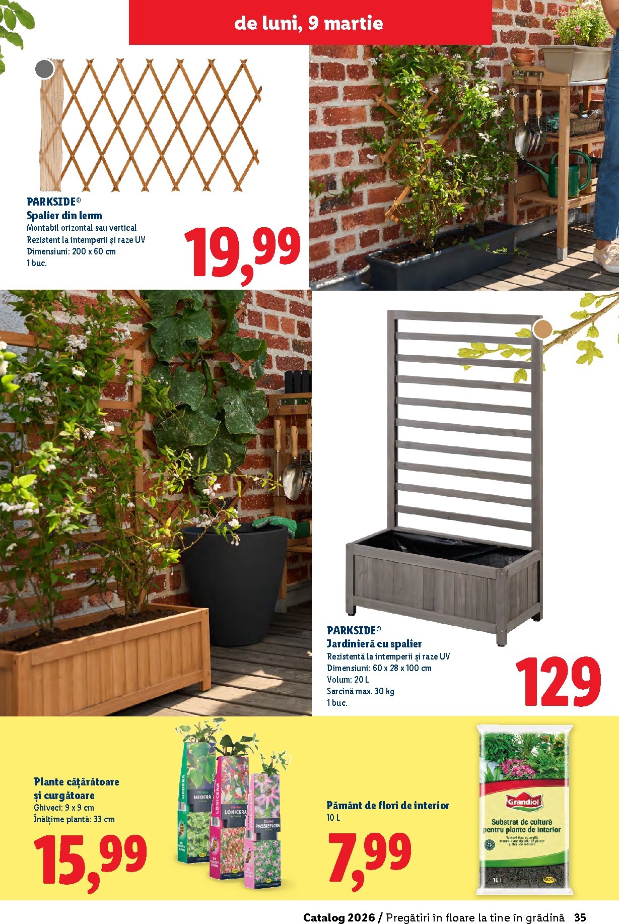 lidl - Catalog Lidl - Grădină online – oferte valabile din 26.02.2026 - page: 35