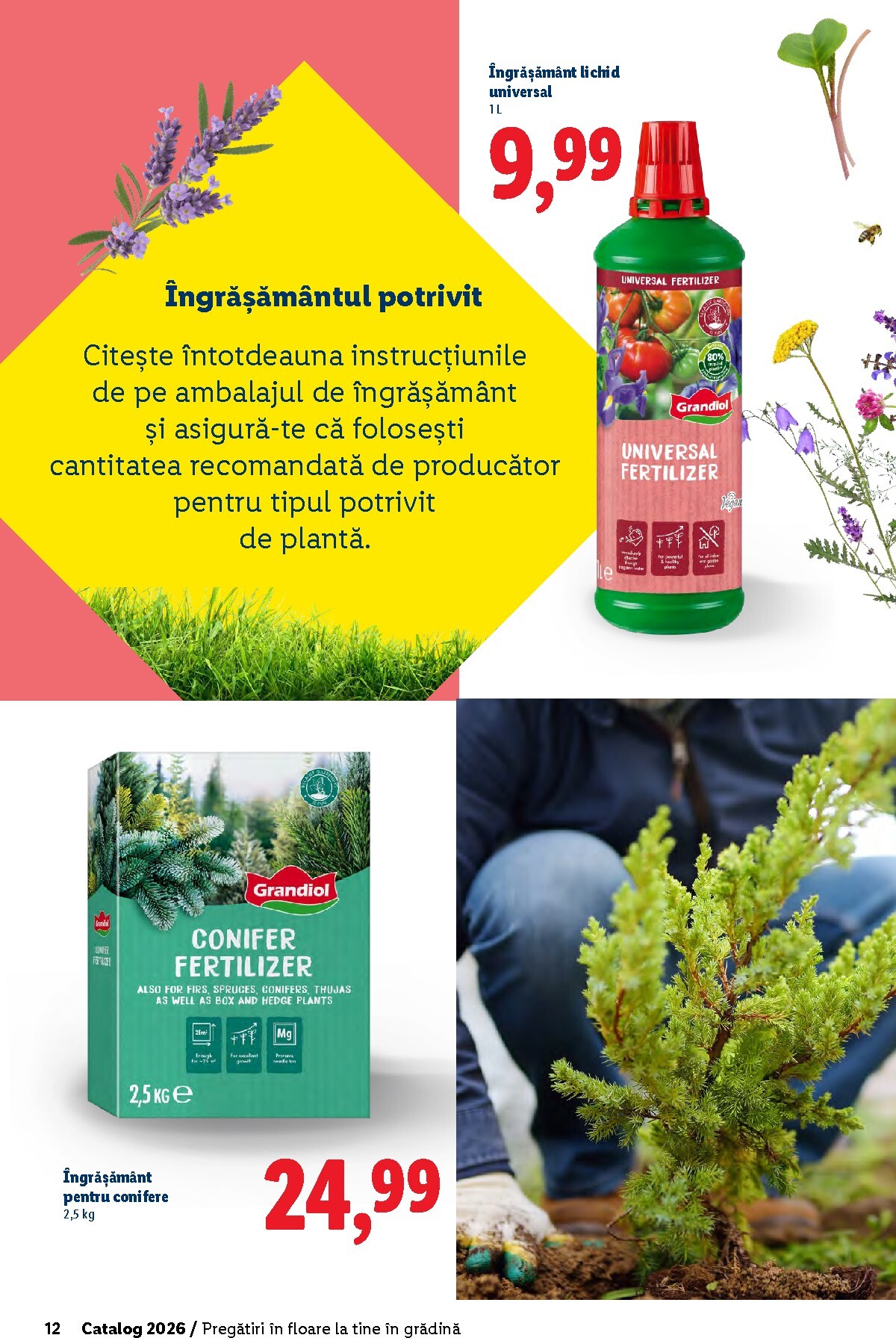 lidl - Catalog Lidl - Grădină online – oferte valabile din 26.02.2026 - page: 12