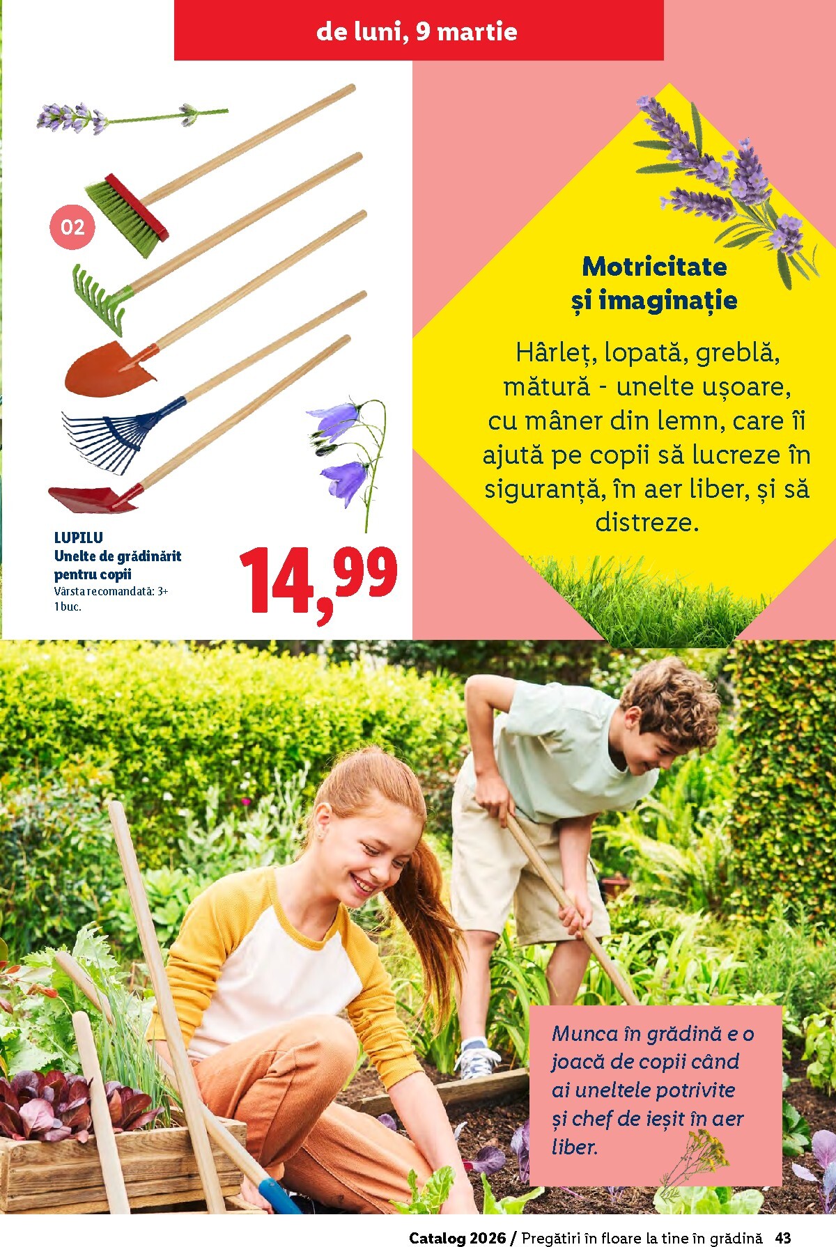lidl - Catalog Lidl - Grădină online – oferte valabile din 26.02.2026 - page: 43