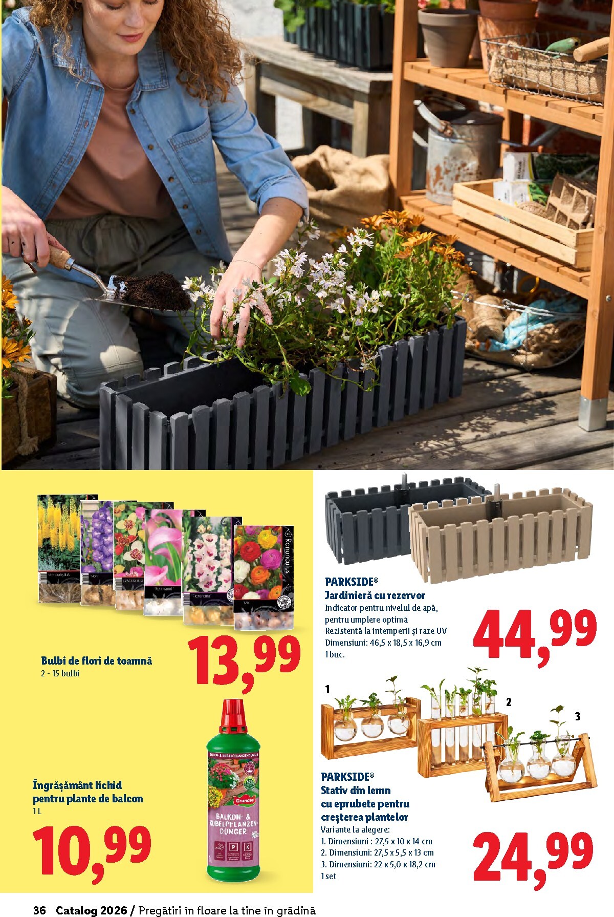 lidl - Catalog Lidl - Grădină online – oferte valabile din 26.02.2026 - page: 36