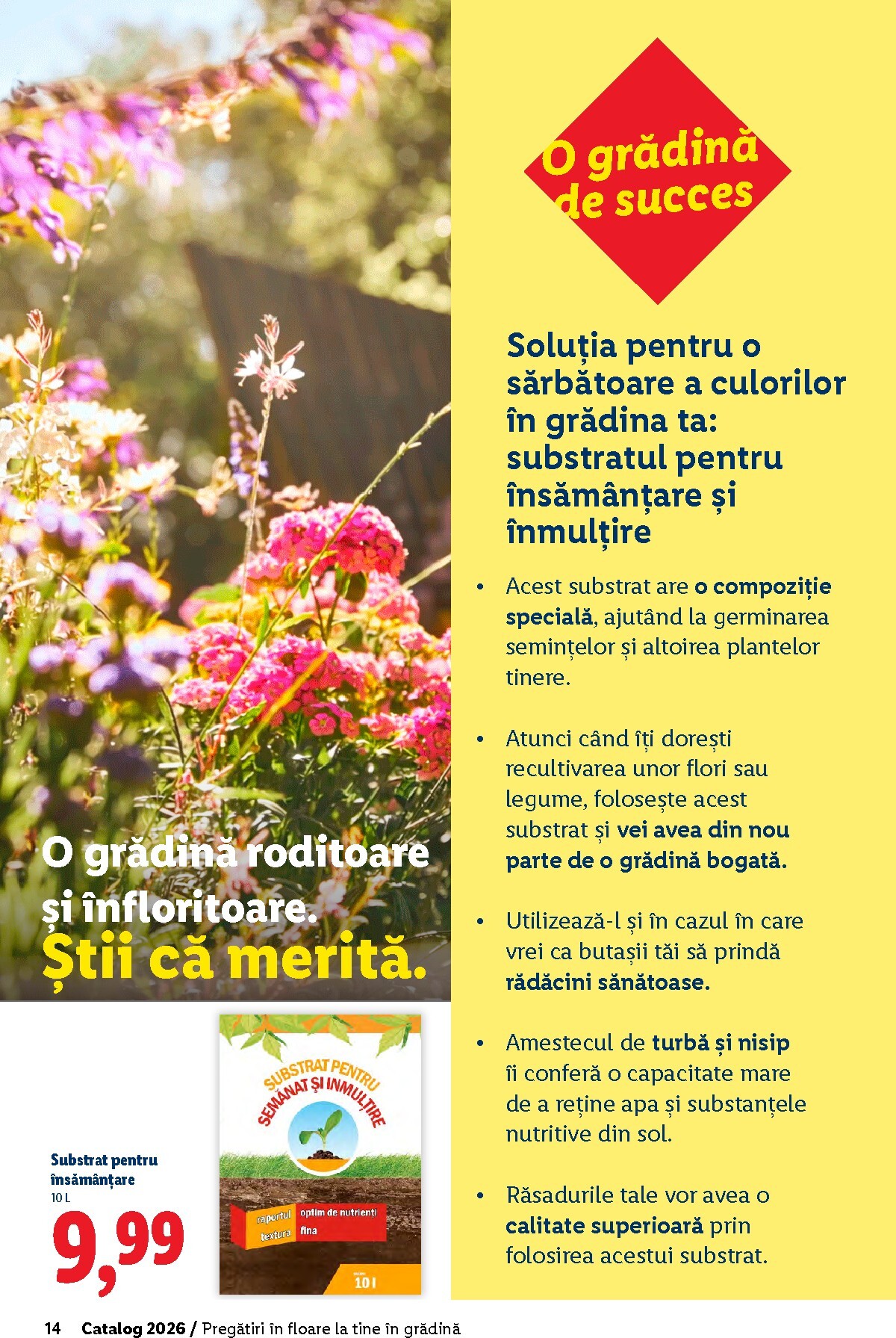 lidl - Catalog Lidl - Grădină online – oferte valabile din 26.02.2026 - page: 14