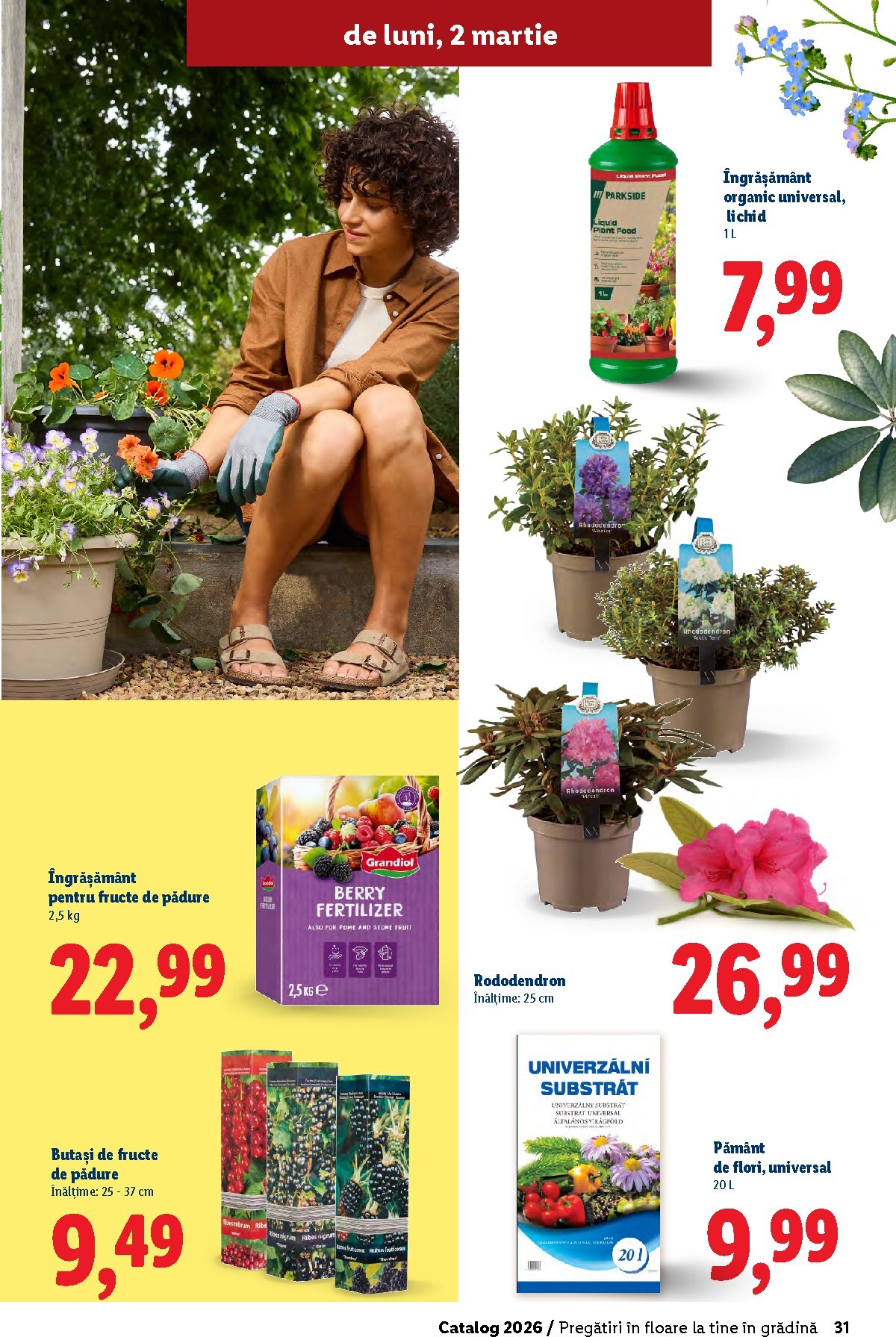 lidl - Catalog Lidl - Grădină online – oferte valabile din 26.02.2026 - page: 31