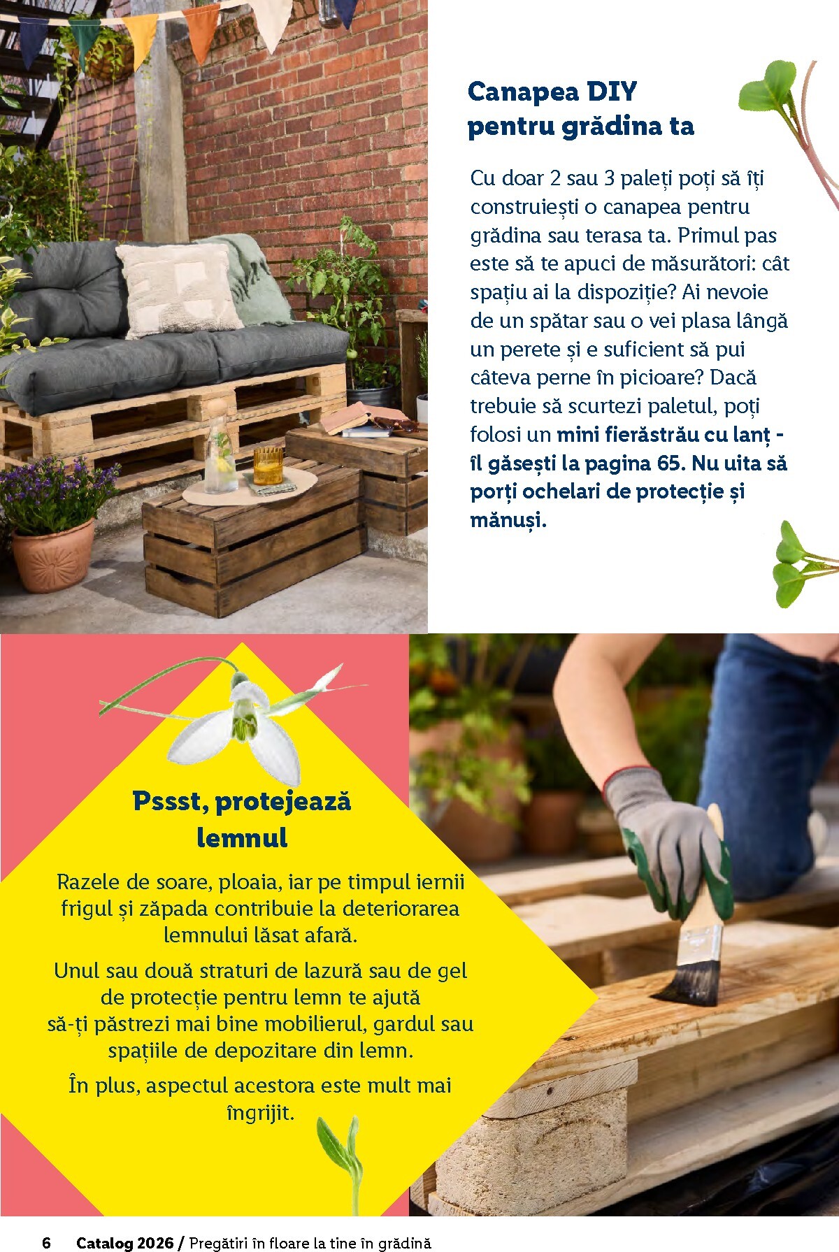 lidl - Catalog Lidl - Grădină online – oferte valabile din 26.02.2026 - page: 6