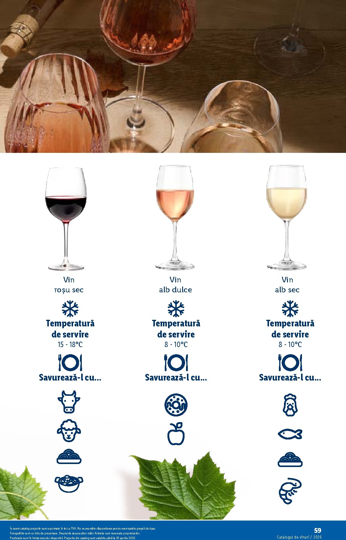 lidl - Catalog Lidl - Catalogul de Vinuri online – oferte valabile din 26.02.2026 - page: 59