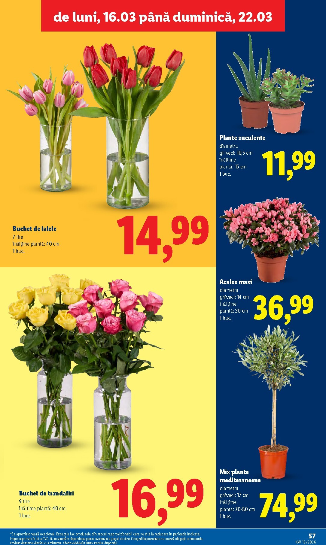 lidl - Catalog Lidl online – oferte valabile din 16.03.2026 - page: 57