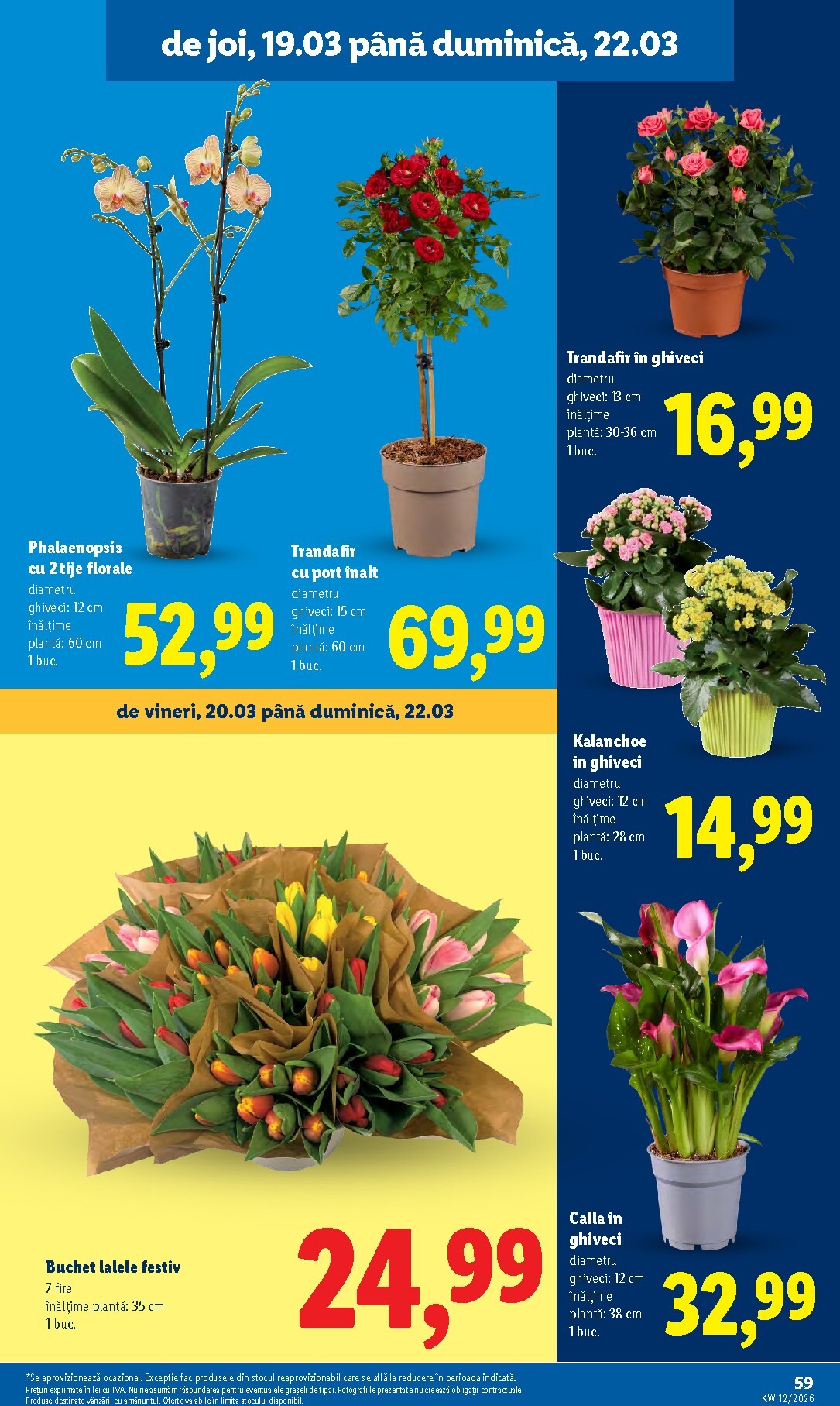 lidl - Catalog Lidl online – oferte valabile din 16.03.2026 - page: 59