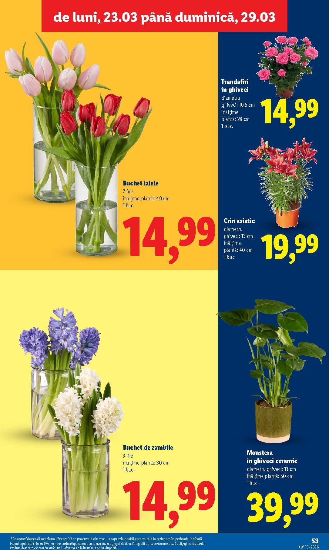 lidl - Catalog Lidl online – oferte valabile din 23.03.2026 - page: 53