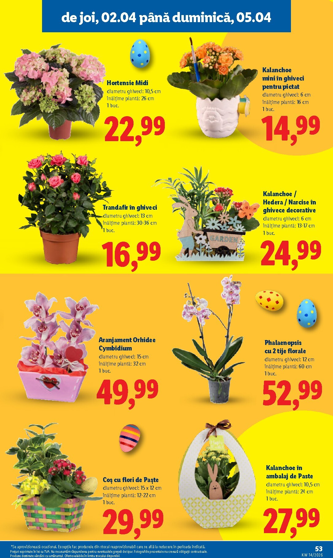 lidl - Catalog Lidl online – oferte valabile din 30.03.2026 - page: 53