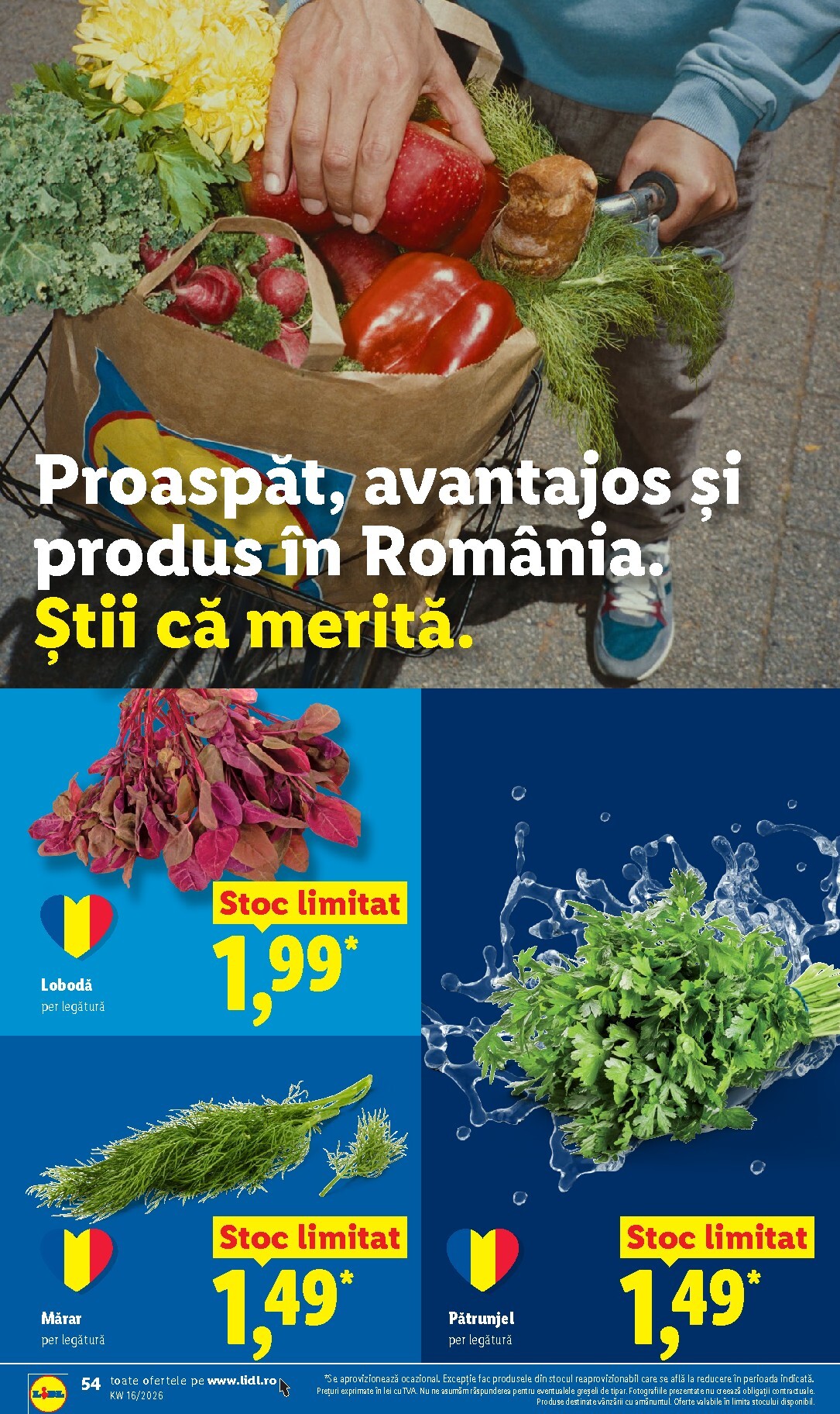 lidl - Lidl pliante pentru săptămâna viitoare de la marți 14.04.2026 până la duminică 19.04.2026 - page: 54