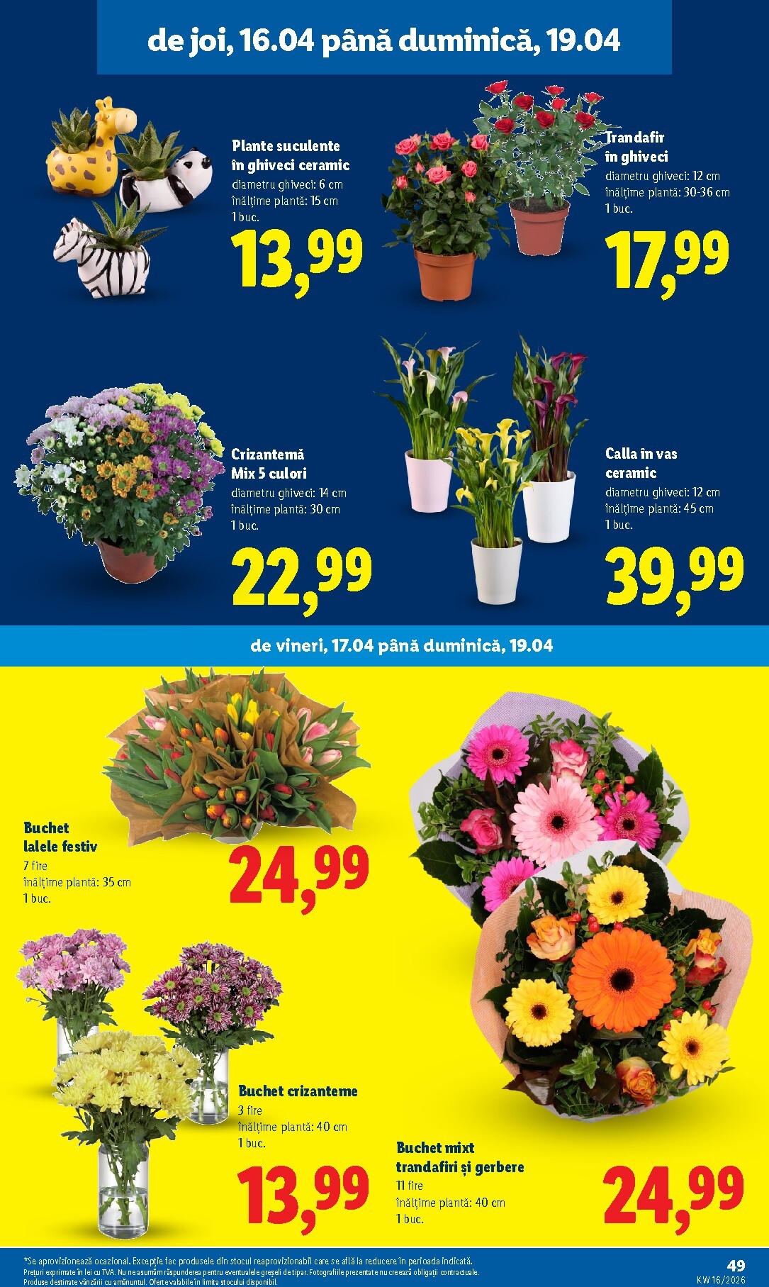 lidl - Lidl pliante pentru săptămâna viitoare de la marți 14.04.2026 până la duminică 19.04.2026 - page: 49