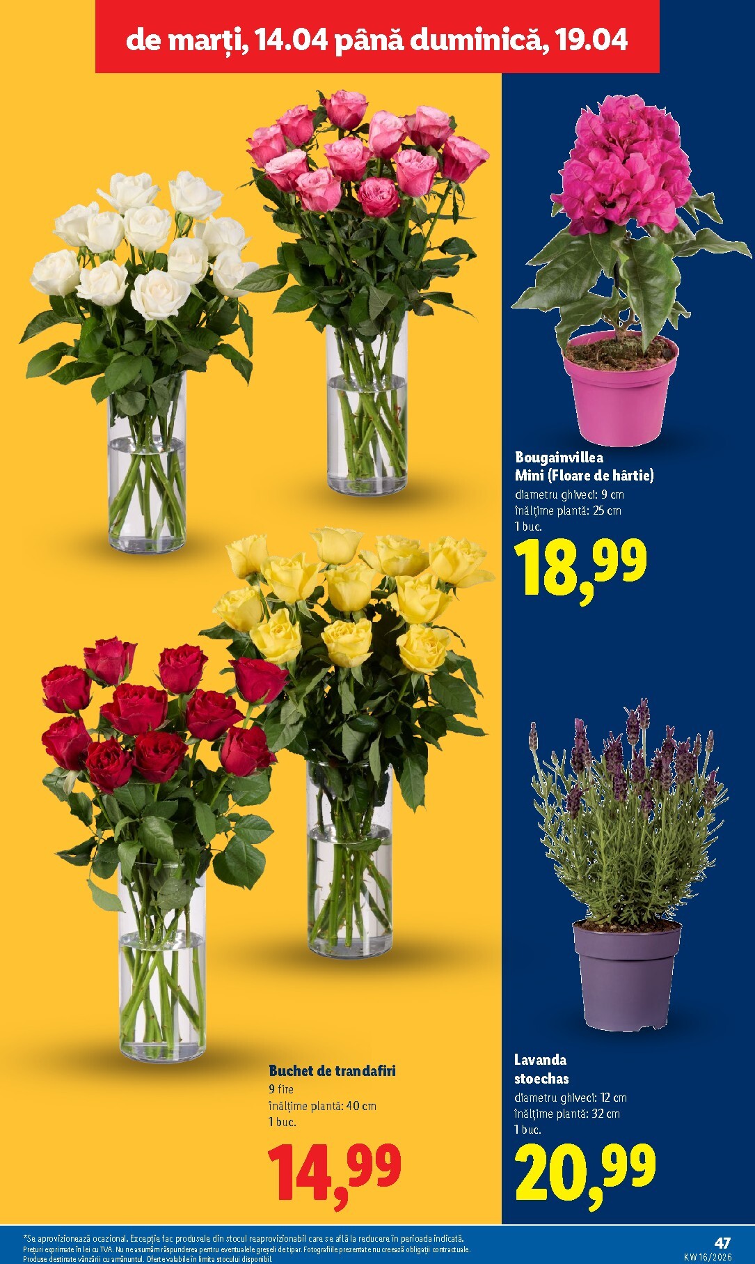 lidl - Lidl pliante pentru săptămâna viitoare de la marți 14.04.2026 până la duminică 19.04.2026 - page: 47