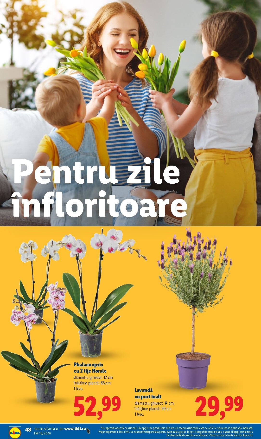 lidl - Lidl pliante pentru săptămâna viitoare de la marți 14.04.2026 până la duminică 19.04.2026 - page: 48