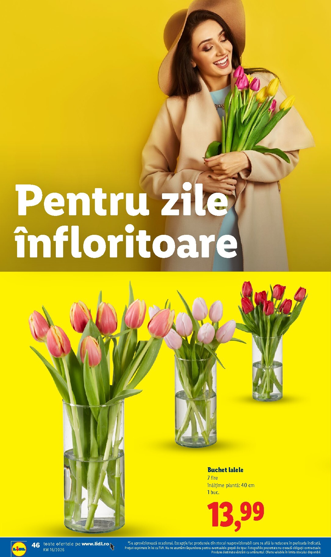 lidl - Lidl pliante pentru săptămâna viitoare de la marți 14.04.2026 până la duminică 19.04.2026 - page: 46