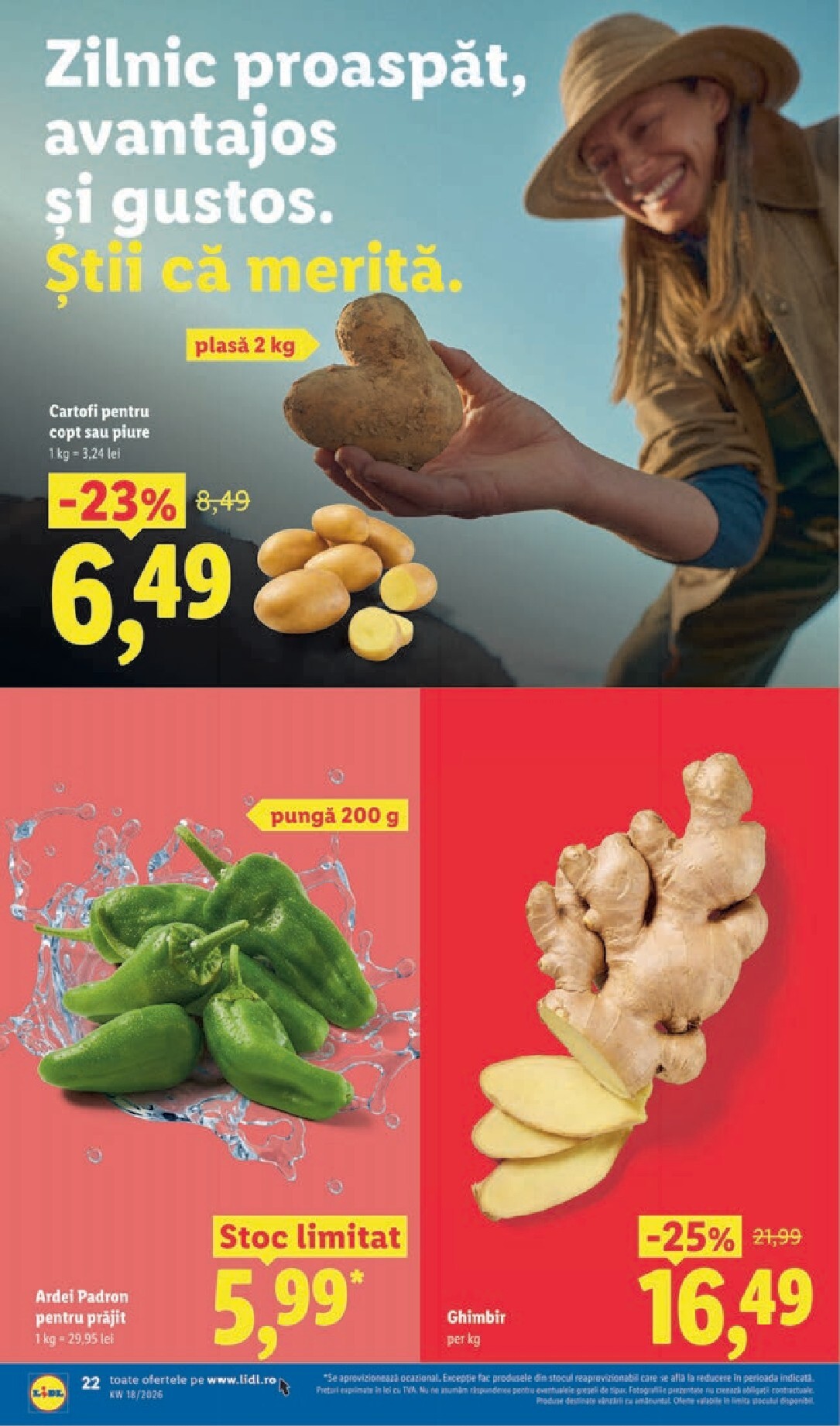 lidl - Lidl pliante pentru săptămâna viitoare de la luni 27.04.2026 până la duminică 03.05.2026 - page: 22