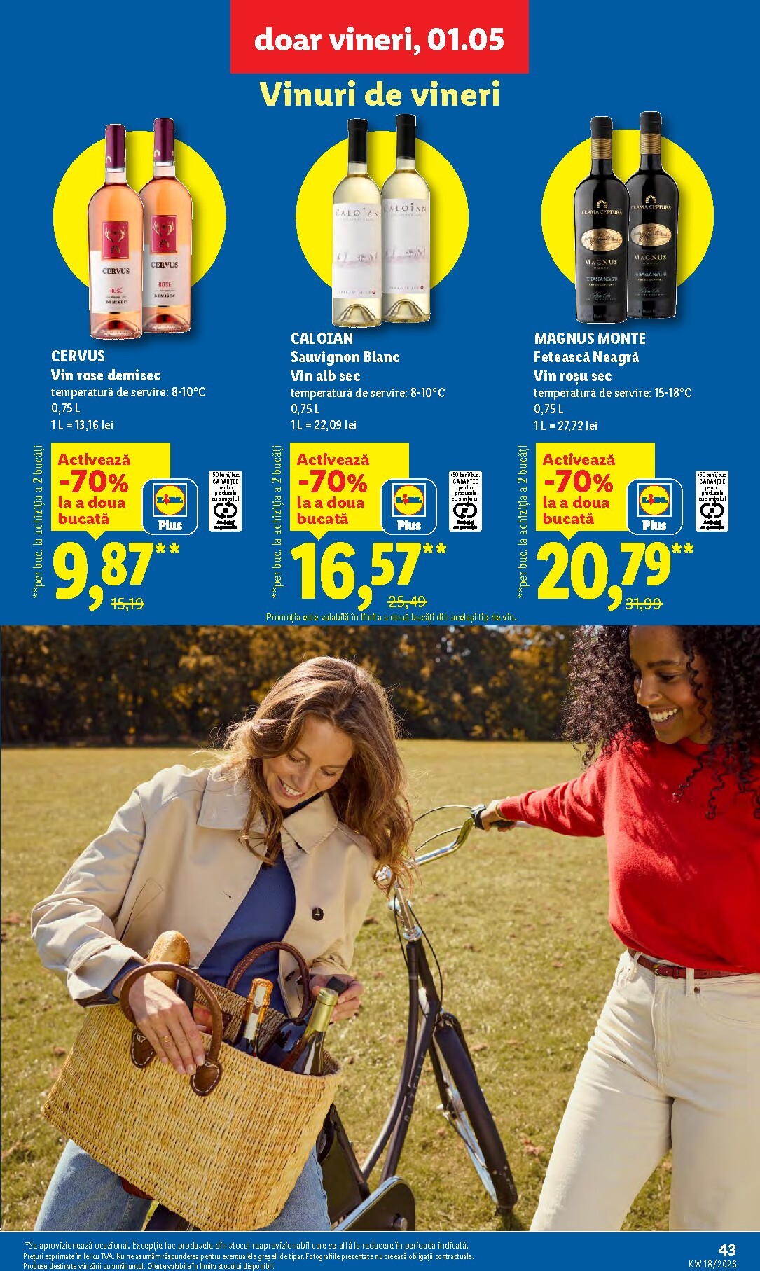 lidl - Brosura Lidl valabilă de la luni 27.04.2026 până la duminică 03.05.2026 - page: 43