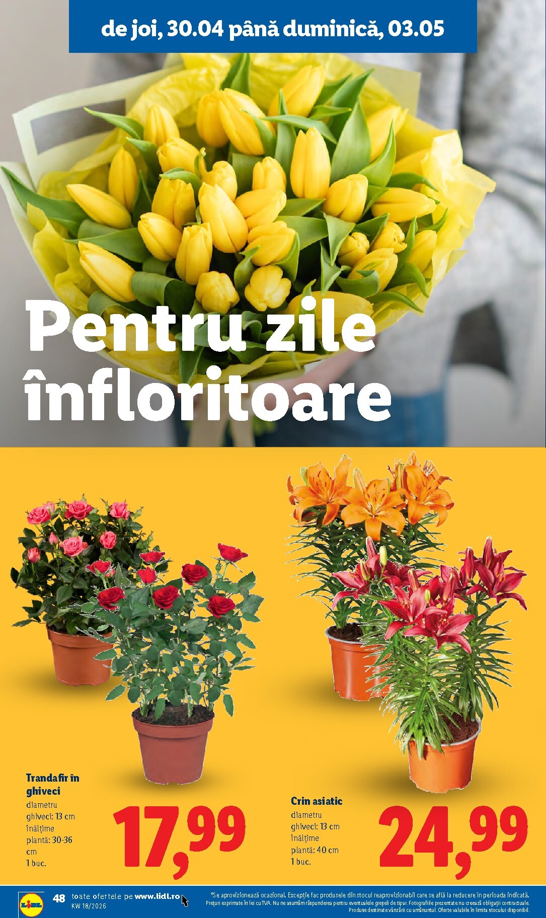 lidl - Brosura Lidl valabilă de la luni 27.04.2026 până la duminică 03.05.2026 - page: 48