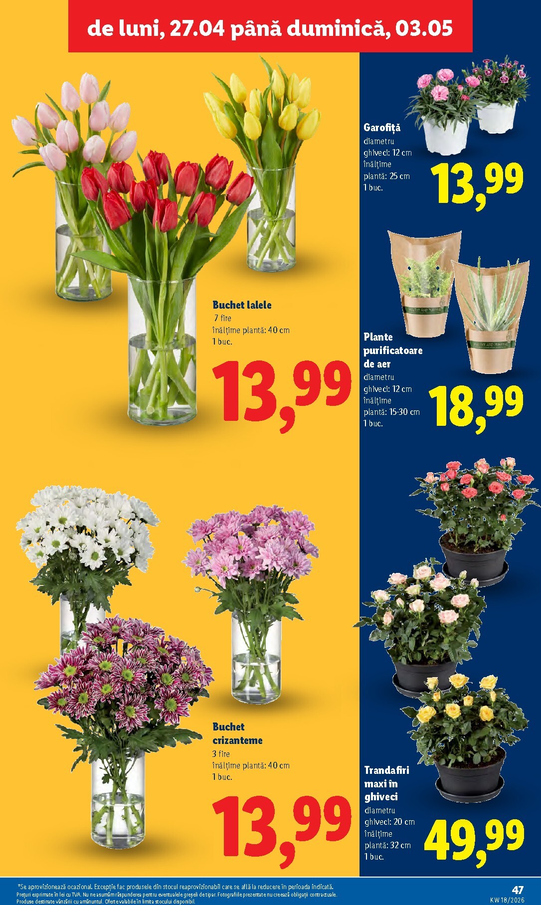 lidl - Brosura Lidl valabilă de la luni 27.04.2026 până la duminică 03.05.2026 - page: 47
