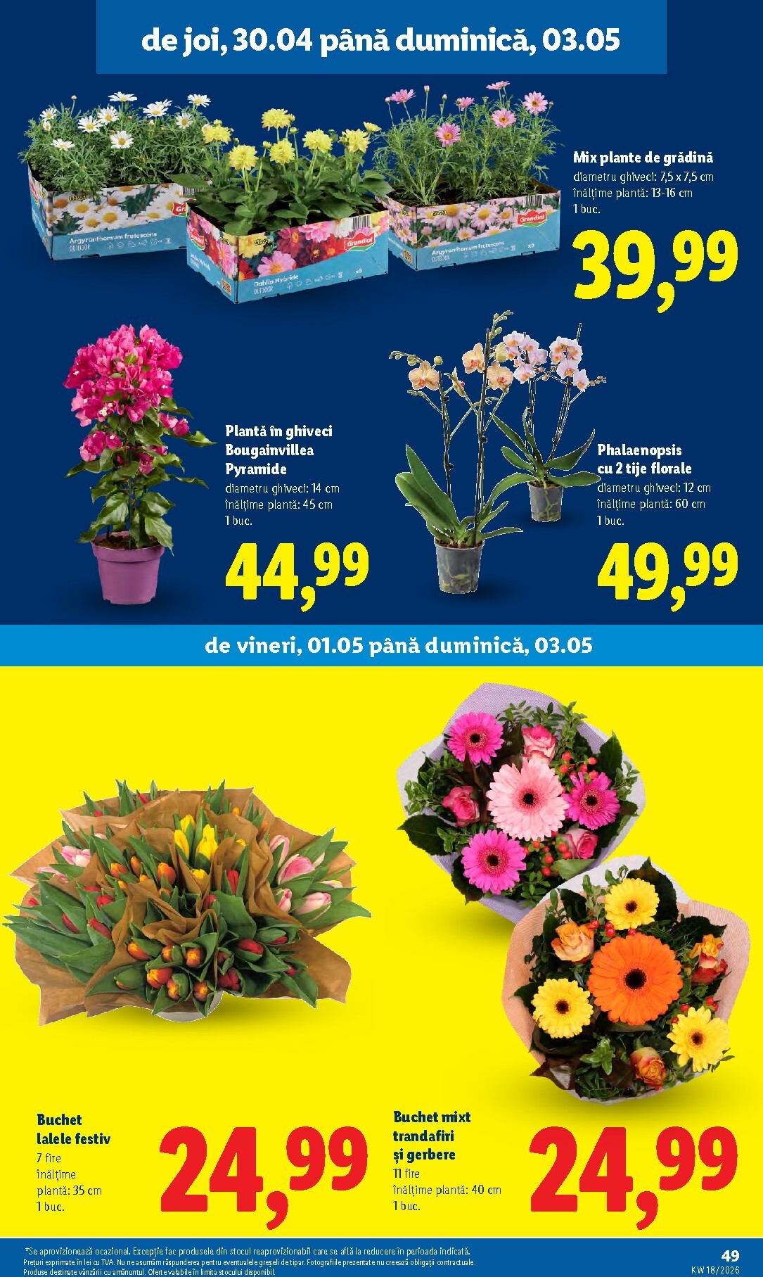 lidl - Brosura Lidl valabilă de la luni 27.04.2026 până la duminică 03.05.2026 - page: 49